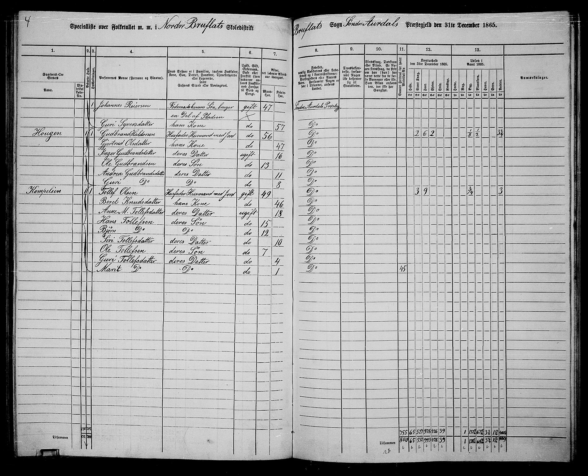 RA, 1865 census for Sør-Aurdal, 1865, p. 214