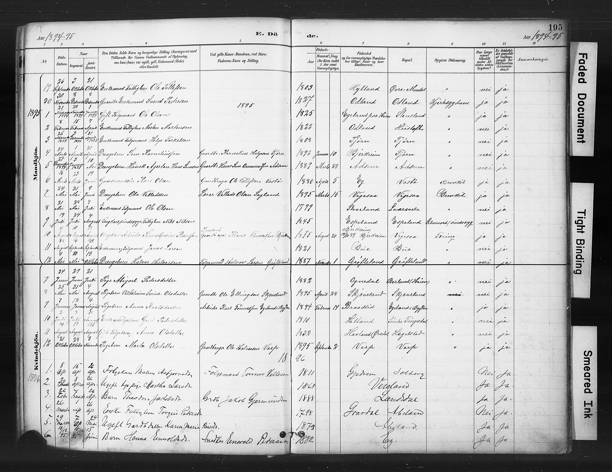 Helleland sokneprestkontor, AV/SAST-A-101810: Parish register (copy) no. B 5, 1887-1908, p. 195