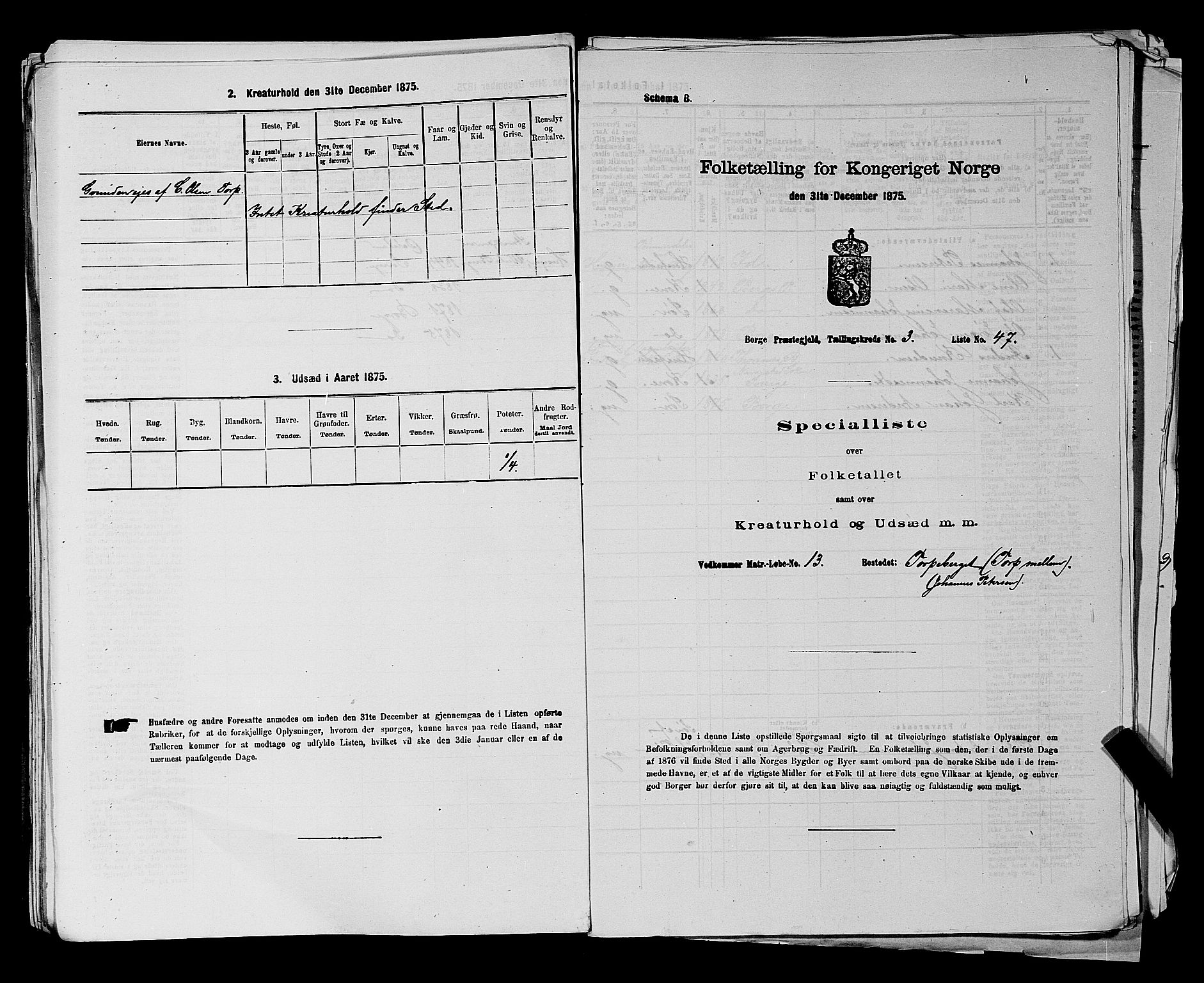 RA, 1875 census for 0113P Borge, 1875, p. 483