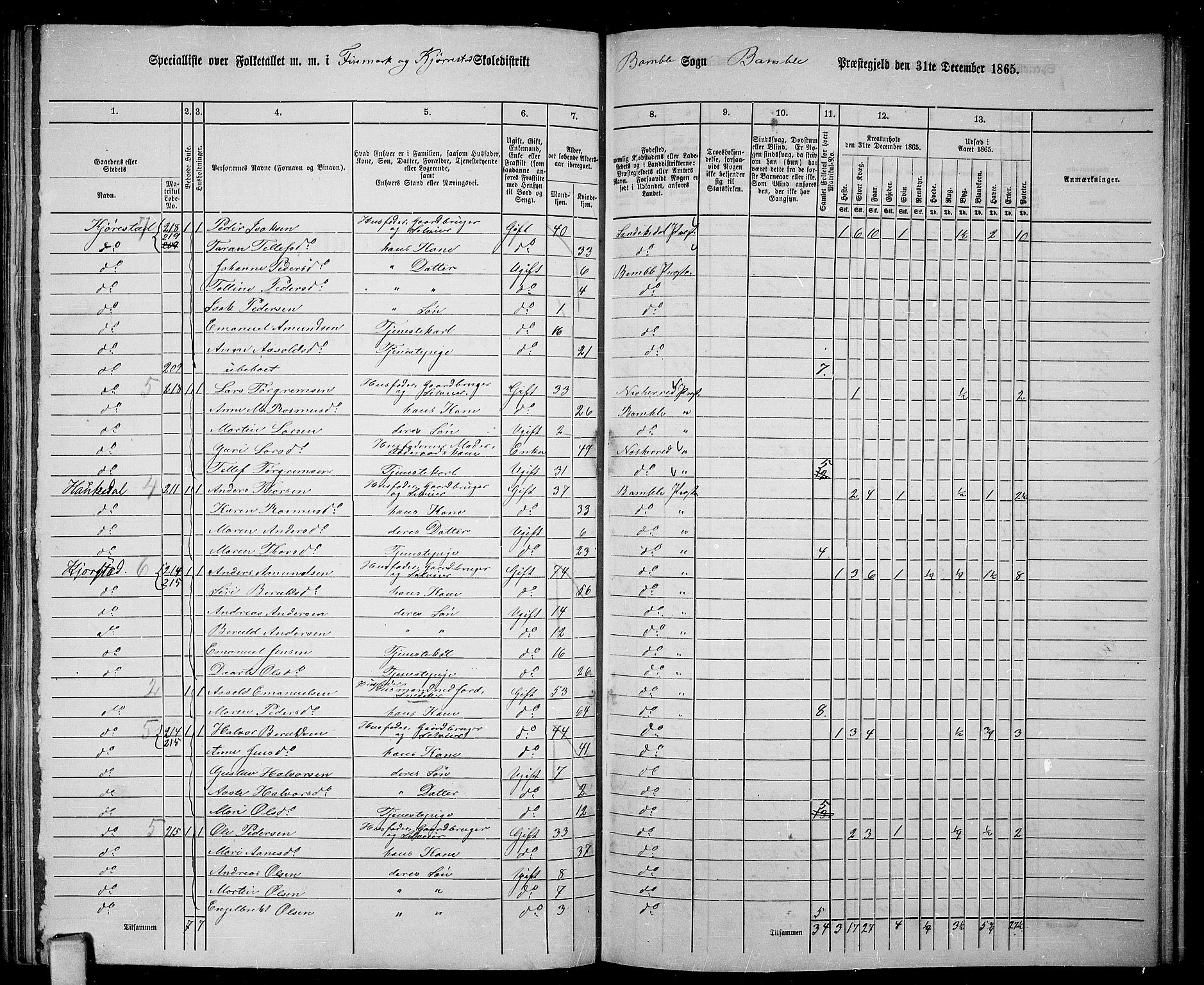 RA, 1865 census for Bamble, 1865, p. 119