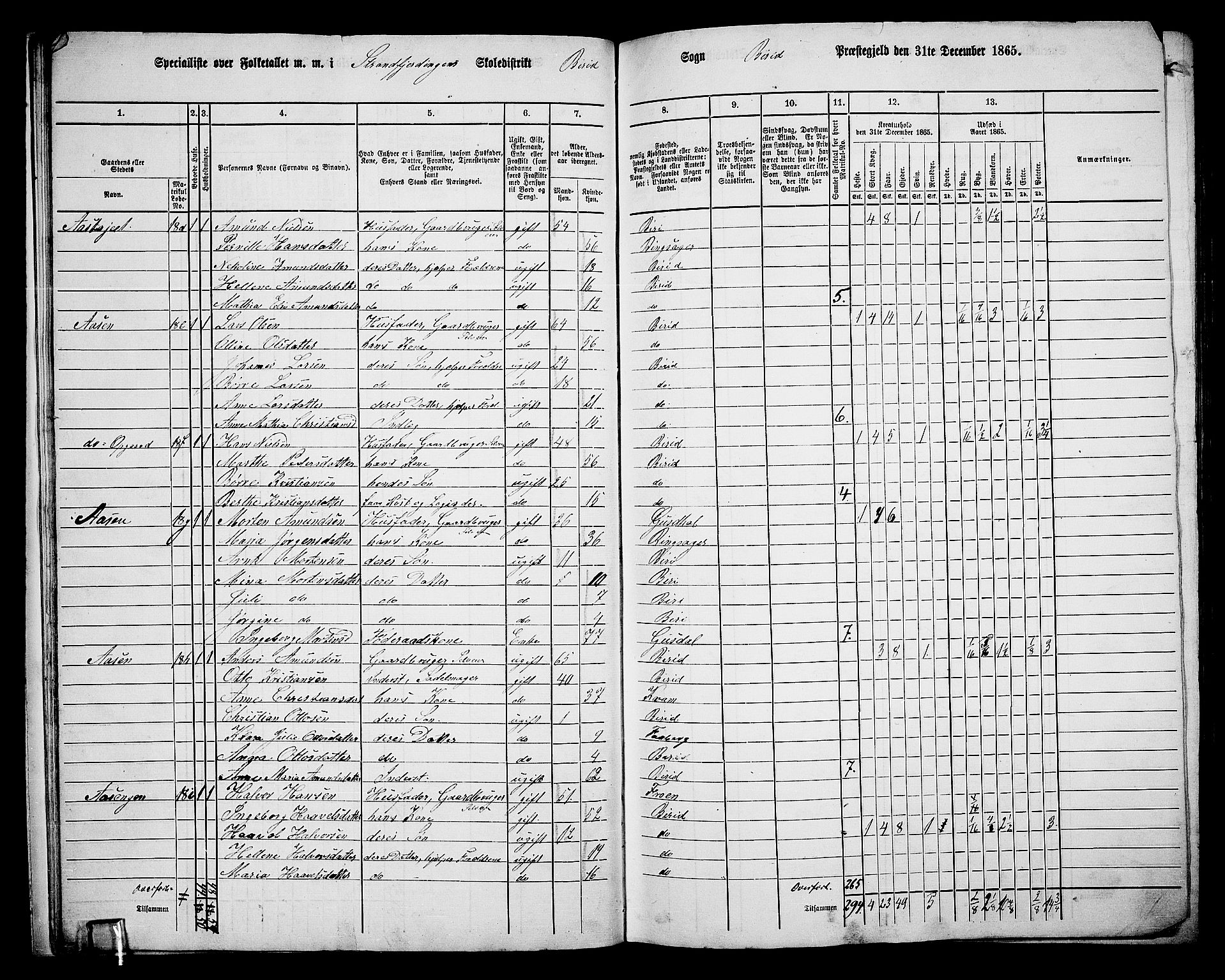 RA, 1865 census for Biri, 1865, p. 20