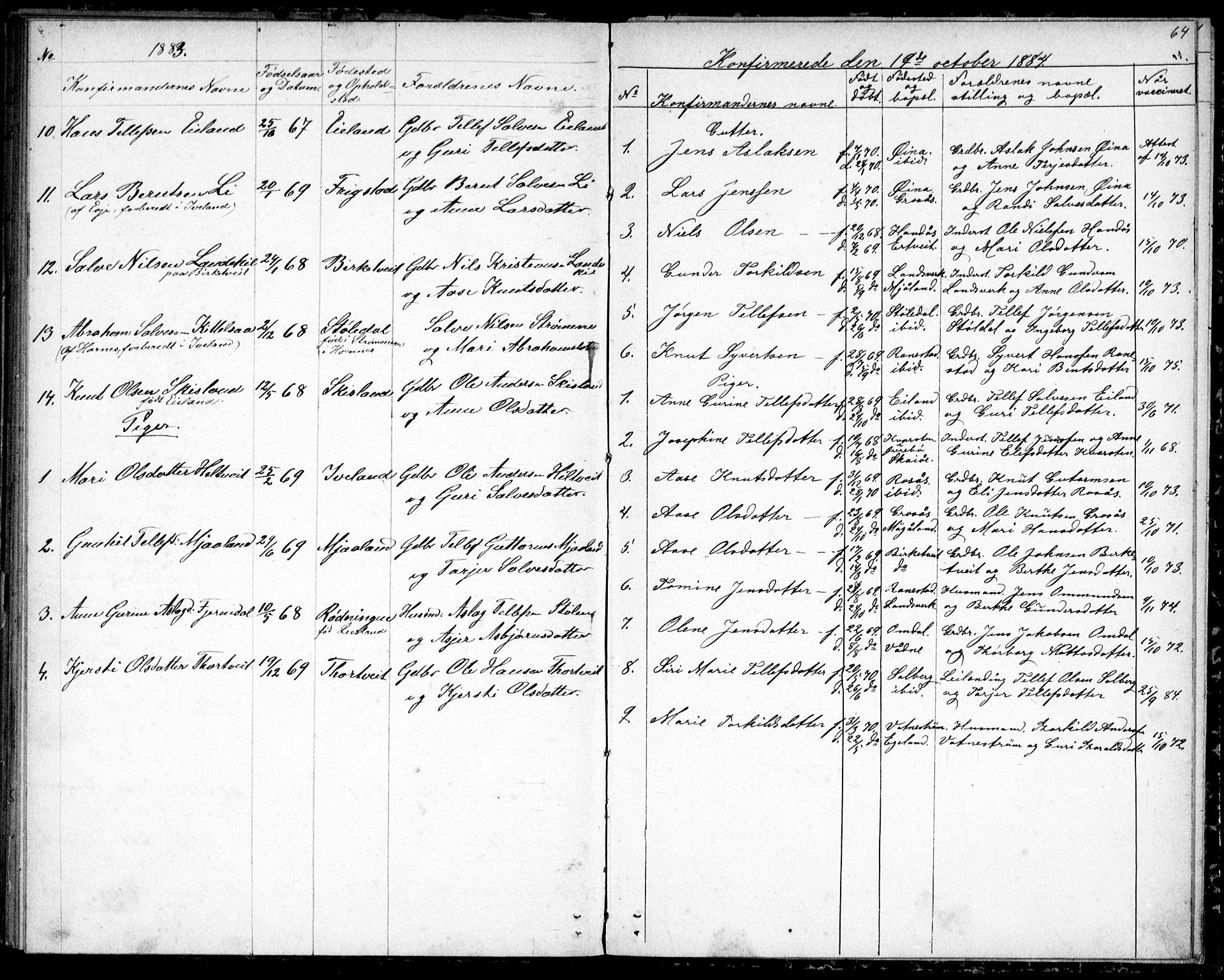 Evje sokneprestkontor, SAK/1111-0008/F/Fb/Fbc/L0003: Parish register (copy) no. B 3, 1876-1889, p. 64