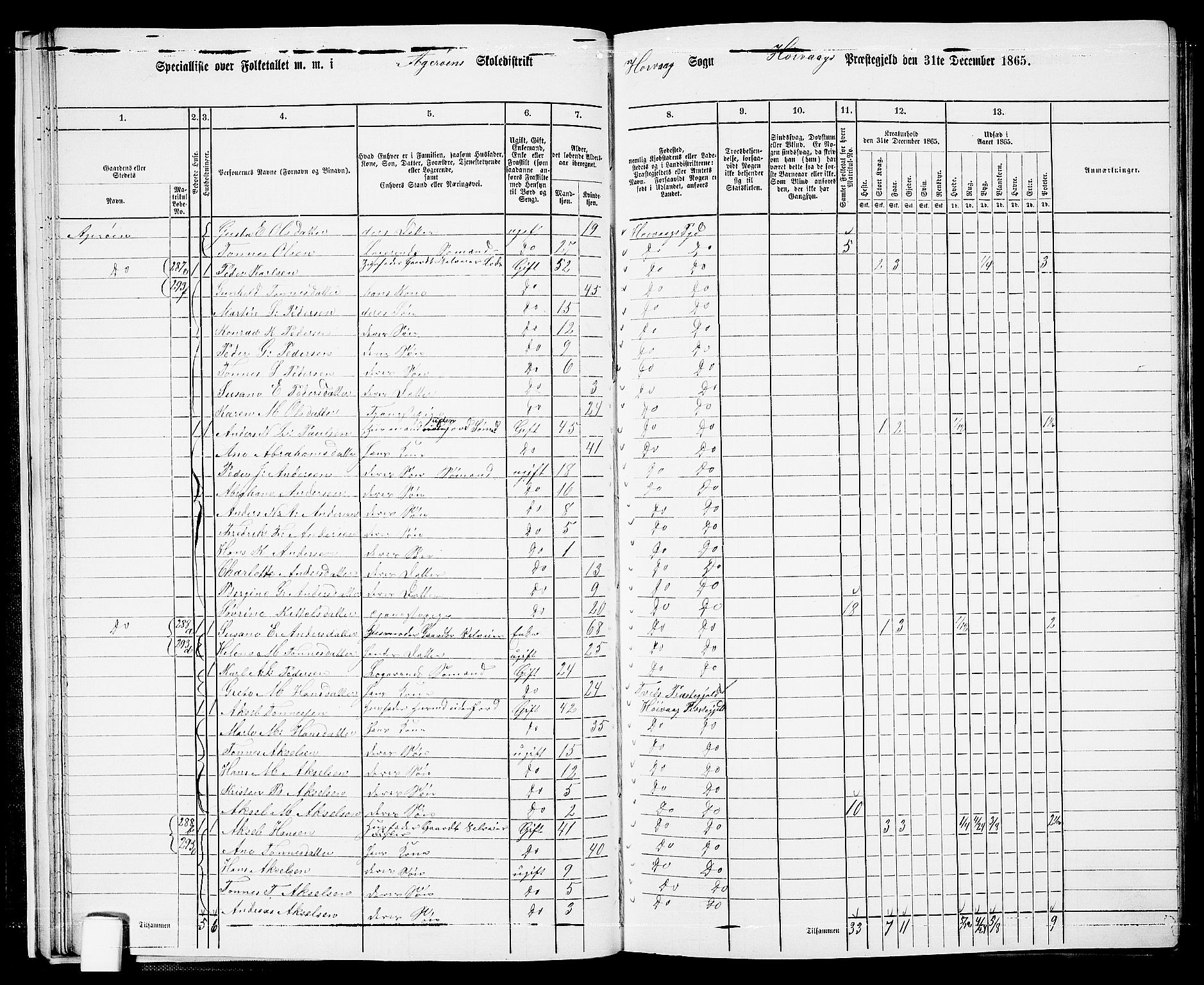 RA, 1865 census for Høvåg, 1865, p. 29