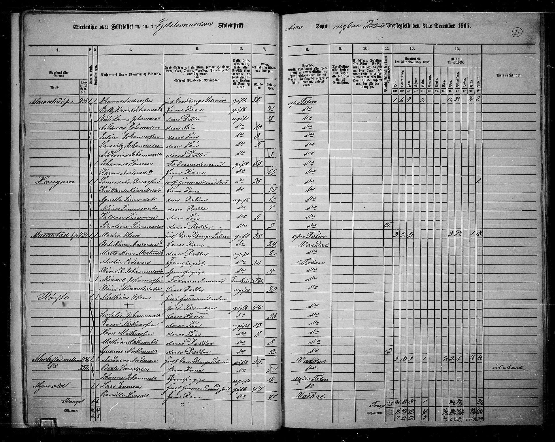 RA, 1865 census for Vestre Toten, 1865, p. 22