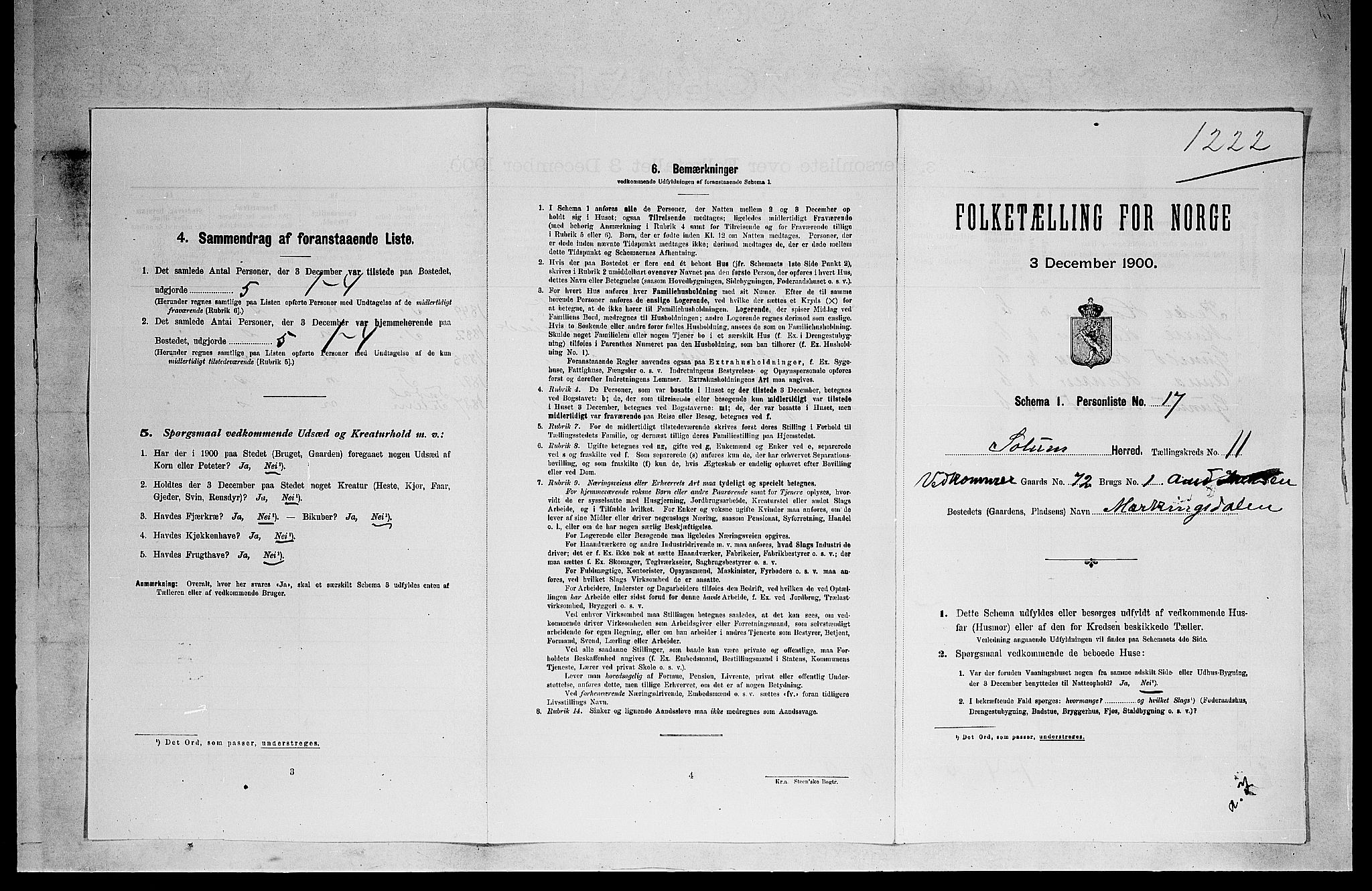 SAKO, 1900 census for Solum, 1900, p. 1869