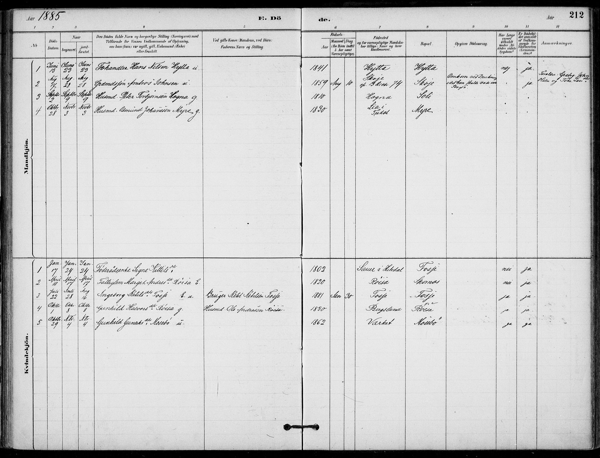 Hjartdal kirkebøker, SAKO/A-270/F/Fb/L0002: Parish register (official) no. II 2, 1880-1932, p. 212