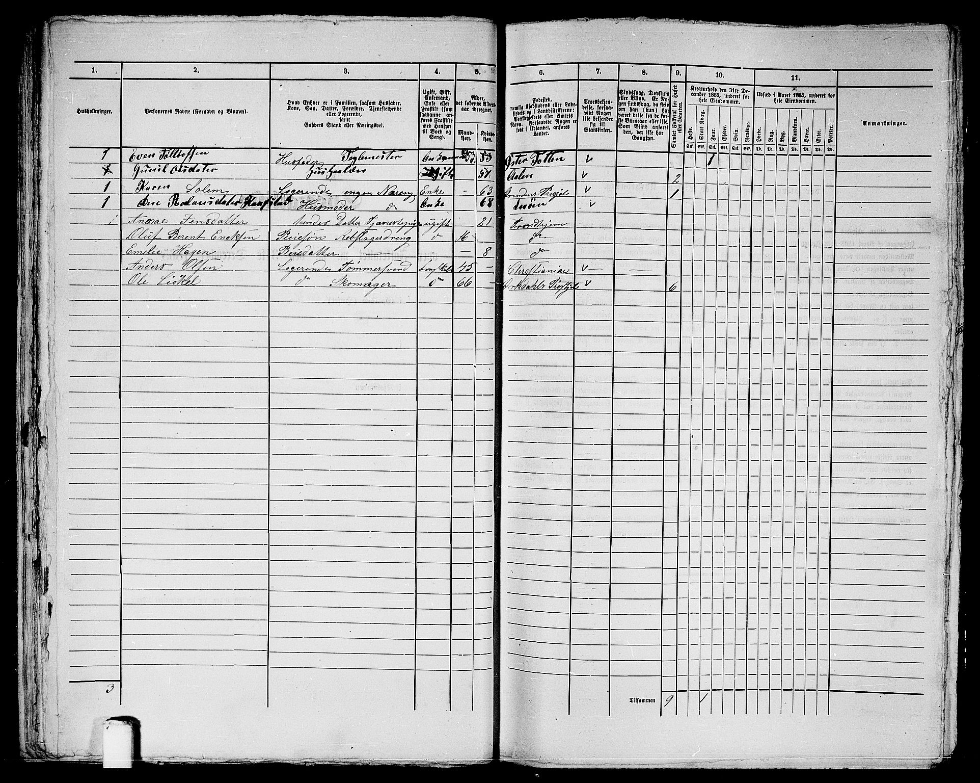 RA, 1865 census for Trondheim, 1865, p. 2120