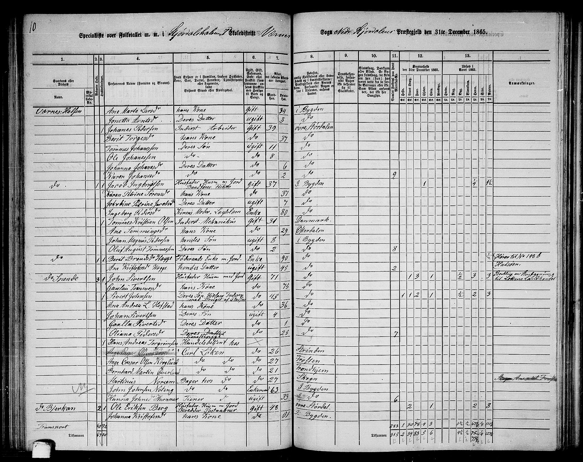 RA, 1865 census for Nedre Stjørdal, 1865, p. 161