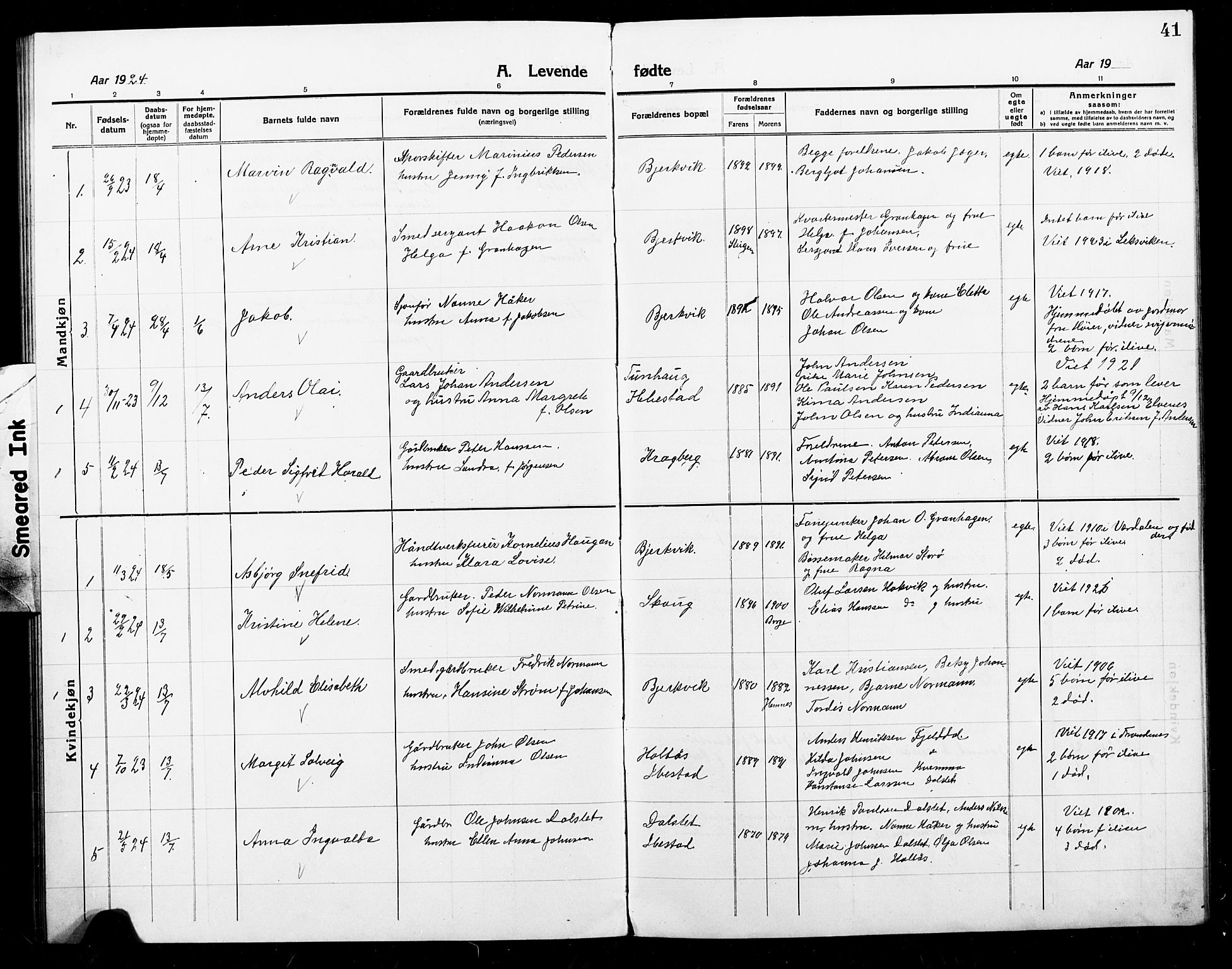 Ministerialprotokoller, klokkerbøker og fødselsregistre - Nordland, SAT/A-1459/868/L0969: Parish register (copy) no. 868C01, 1914-1925, p. 41
