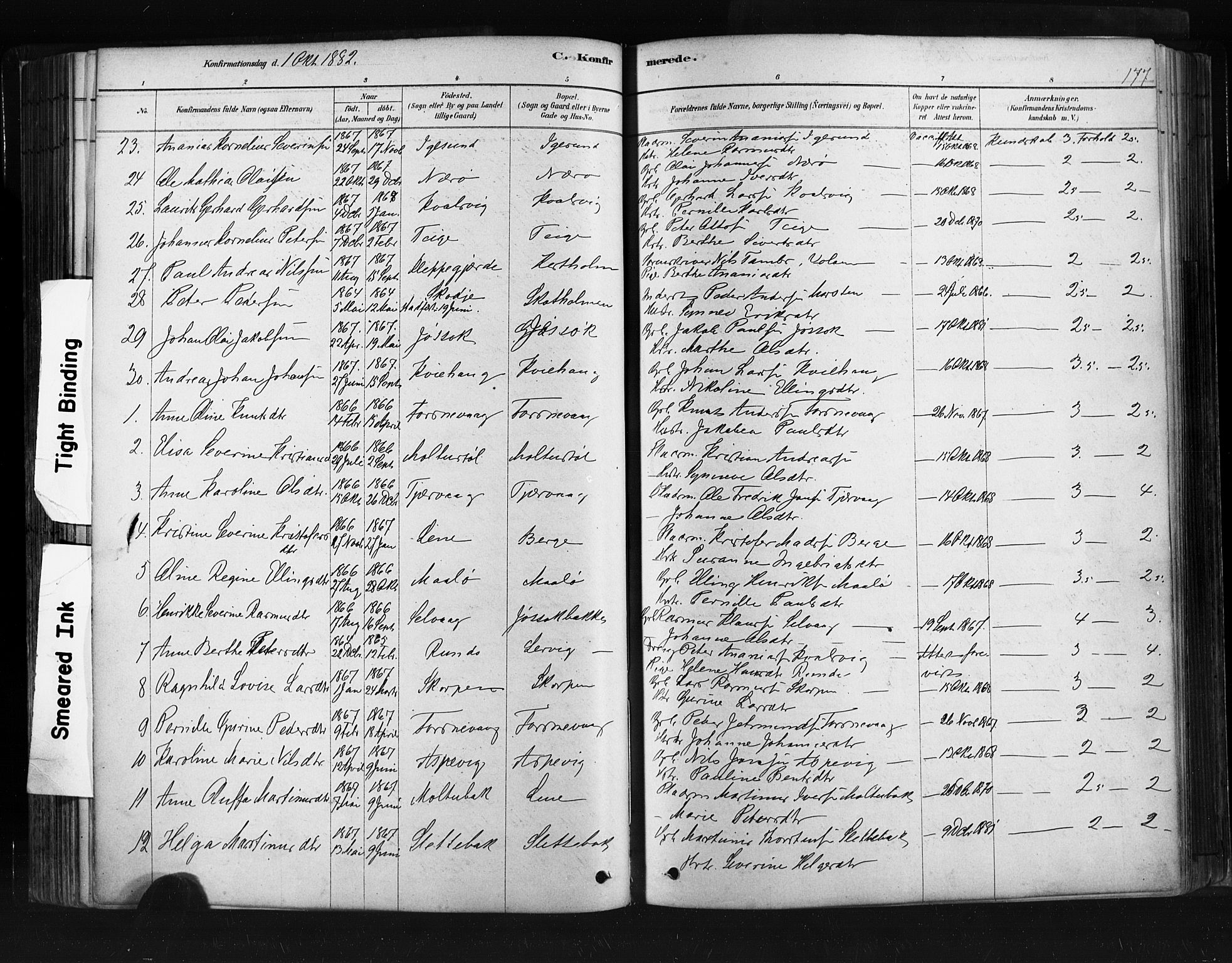 Ministerialprotokoller, klokkerbøker og fødselsregistre - Møre og Romsdal, AV/SAT-A-1454/507/L0073: Parish register (official) no. 507A08, 1878-1904, p. 177