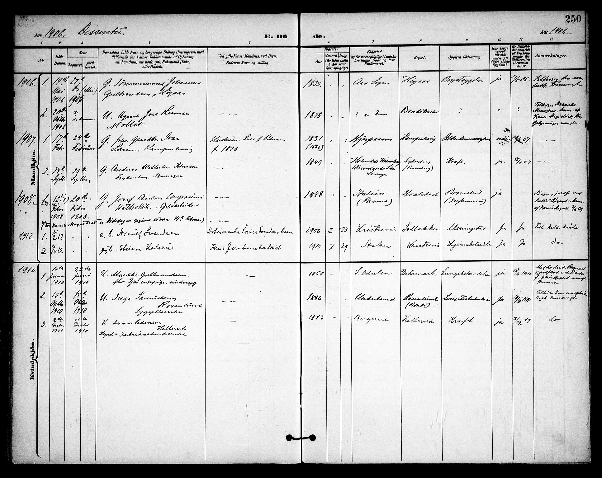 Asker prestekontor Kirkebøker, AV/SAO-A-10256a/F/Fa/L0015: Parish register (official) no. I 15, 1896-1915, p. 250