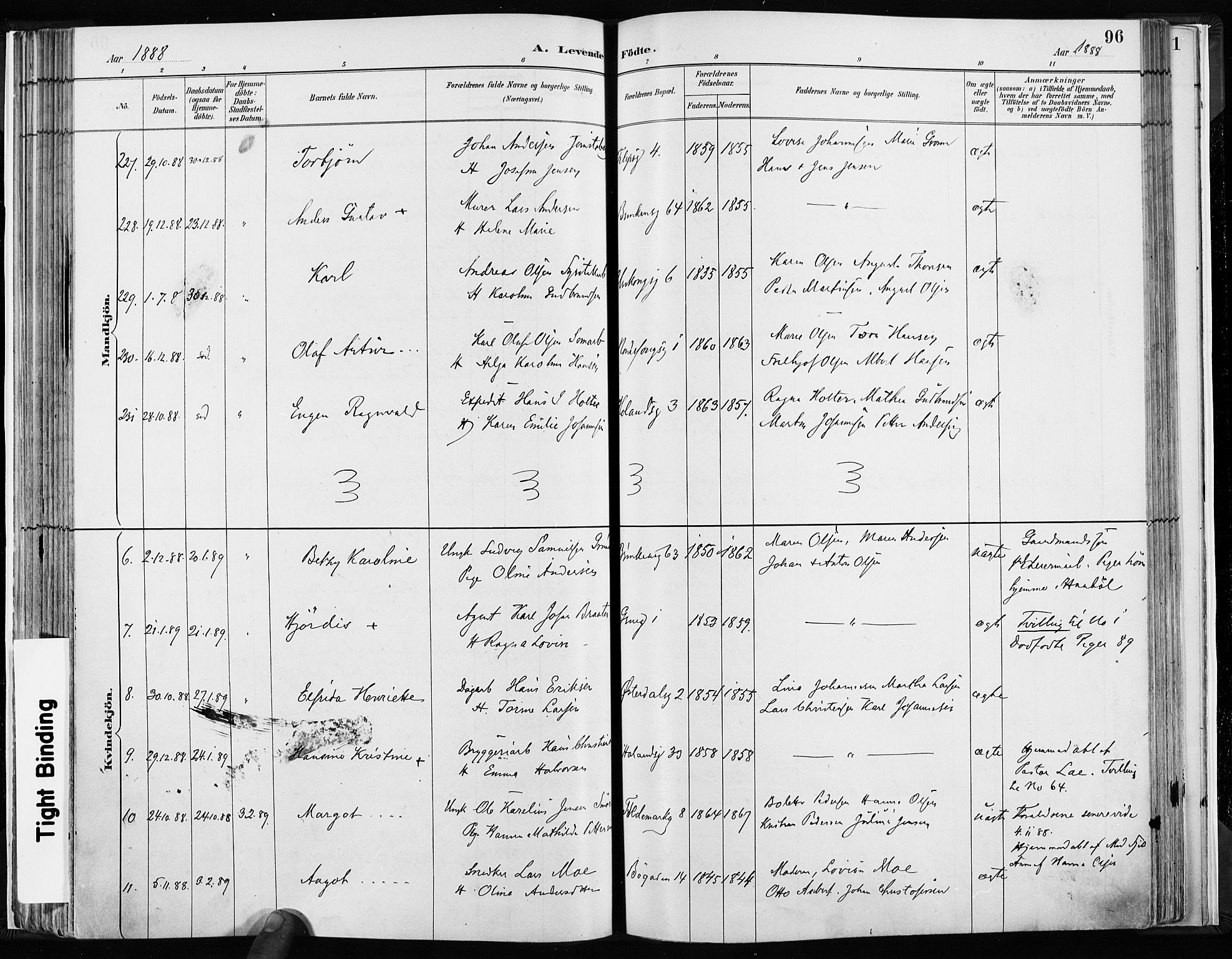 Kampen prestekontor Kirkebøker, AV/SAO-A-10853/F/Fa/L0003: Parish register (official) no. I 3, 1886-1892, p. 96