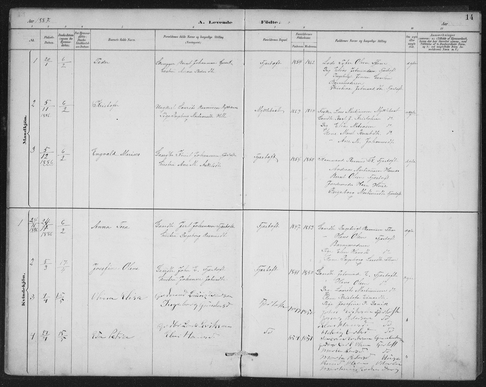 Ministerialprotokoller, klokkerbøker og fødselsregistre - Møre og Romsdal, SAT/A-1454/538/L0522: Parish register (official) no. 538A01, 1884-1913, p. 14