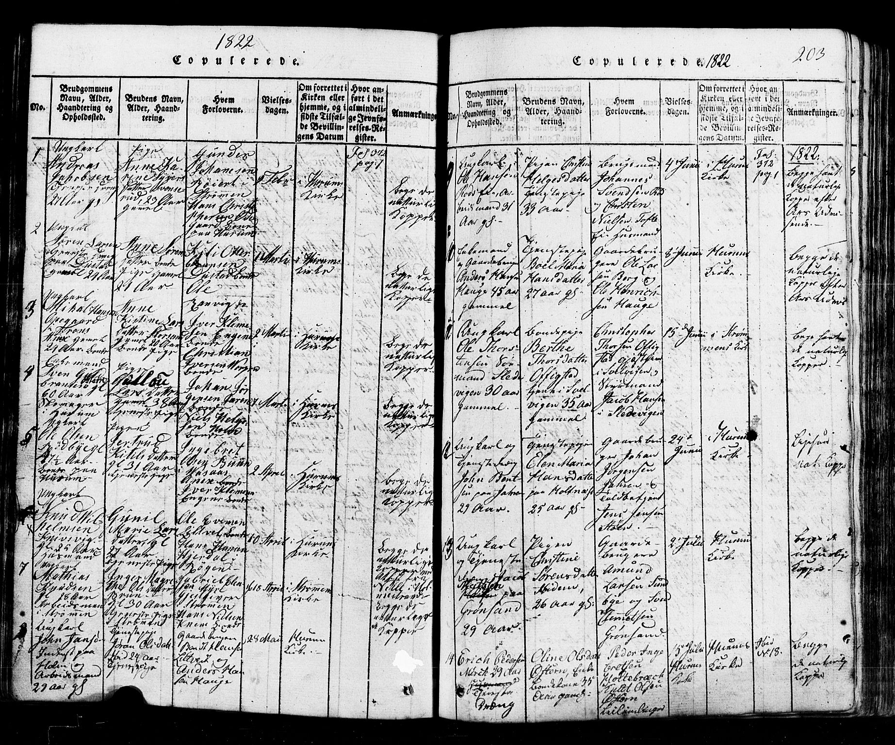 Hurum kirkebøker, SAKO/A-229/G/Ga/L0001: Parish register (copy) no. I 1, 1816-1826, p. 203