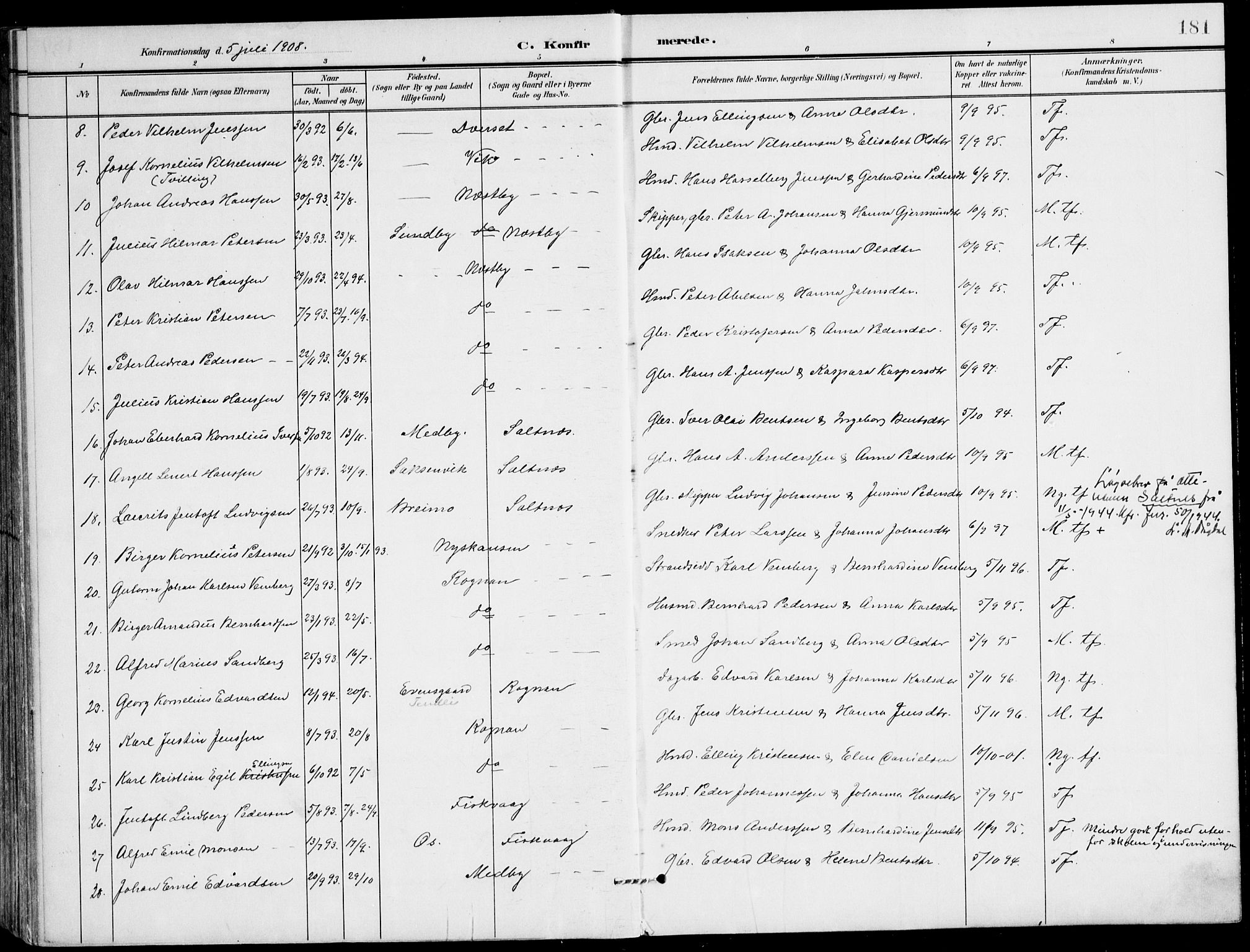 Ministerialprotokoller, klokkerbøker og fødselsregistre - Nordland, SAT/A-1459/847/L0672: Parish register (official) no. 847A12, 1902-1919, p. 181