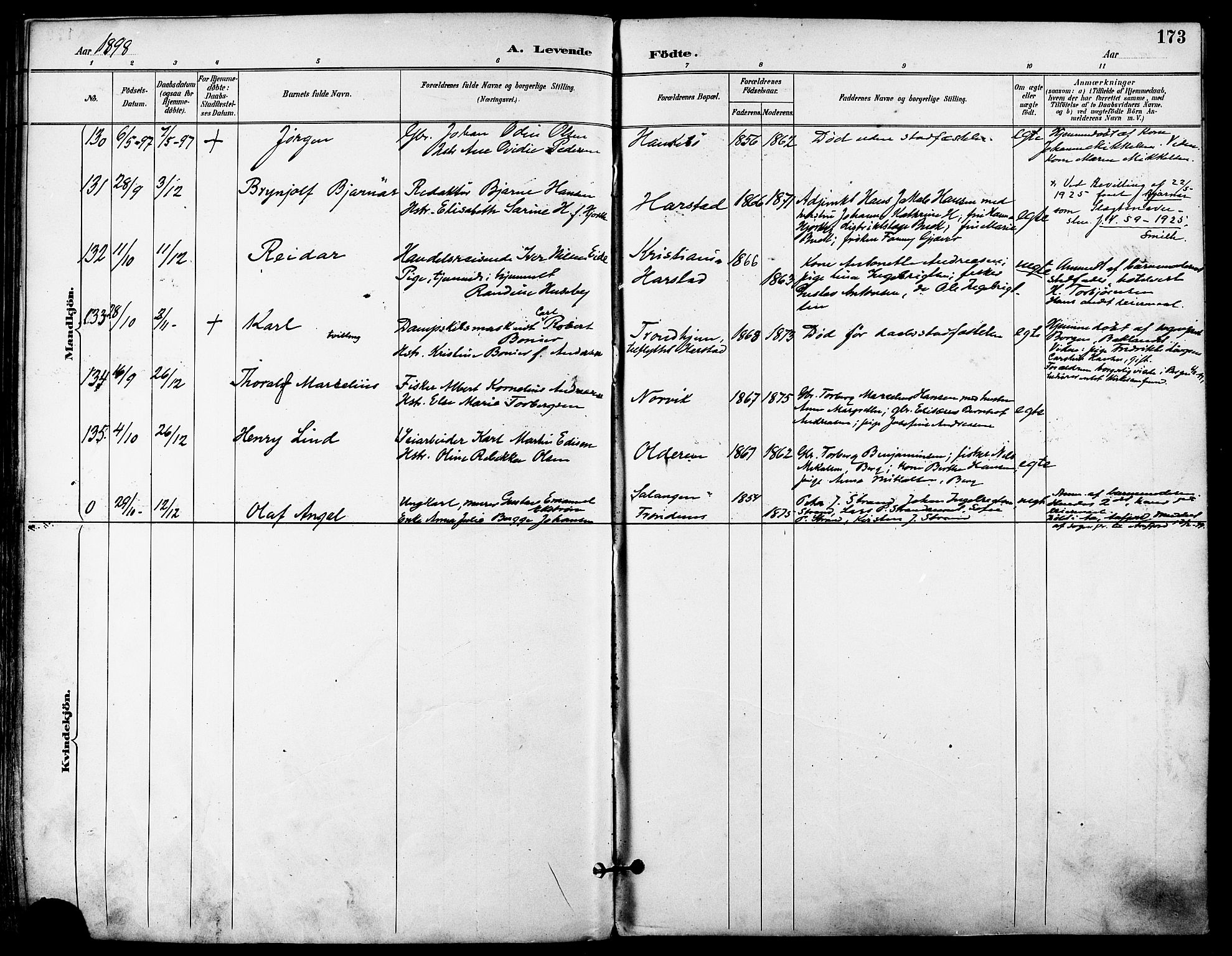Trondenes sokneprestkontor, SATØ/S-1319/H/Ha/L0016kirke: Parish register (official) no. 16, 1890-1898, p. 173