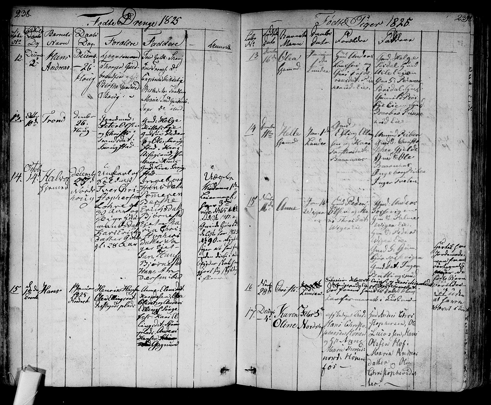 Norderhov kirkebøker, SAKO/A-237/F/Fa/L0009: Parish register (official) no. 9, 1819-1837, p. 238-239