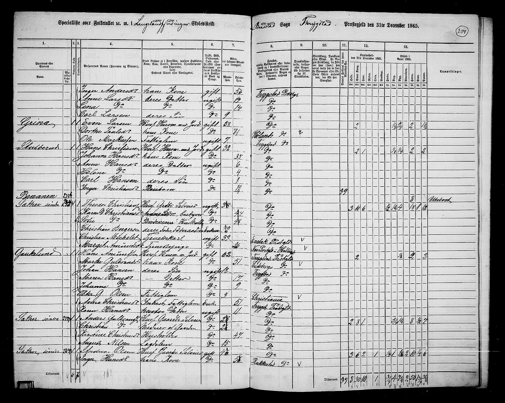 RA, 1865 census for Trøgstad, 1865, p. 182