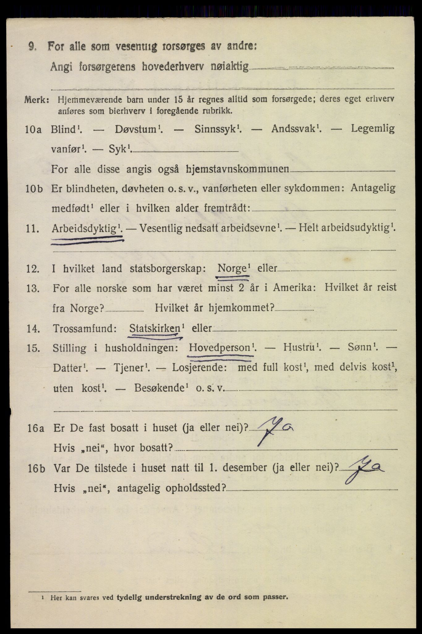 SAK, 1920 census for Bykle, 1920, p. 1016