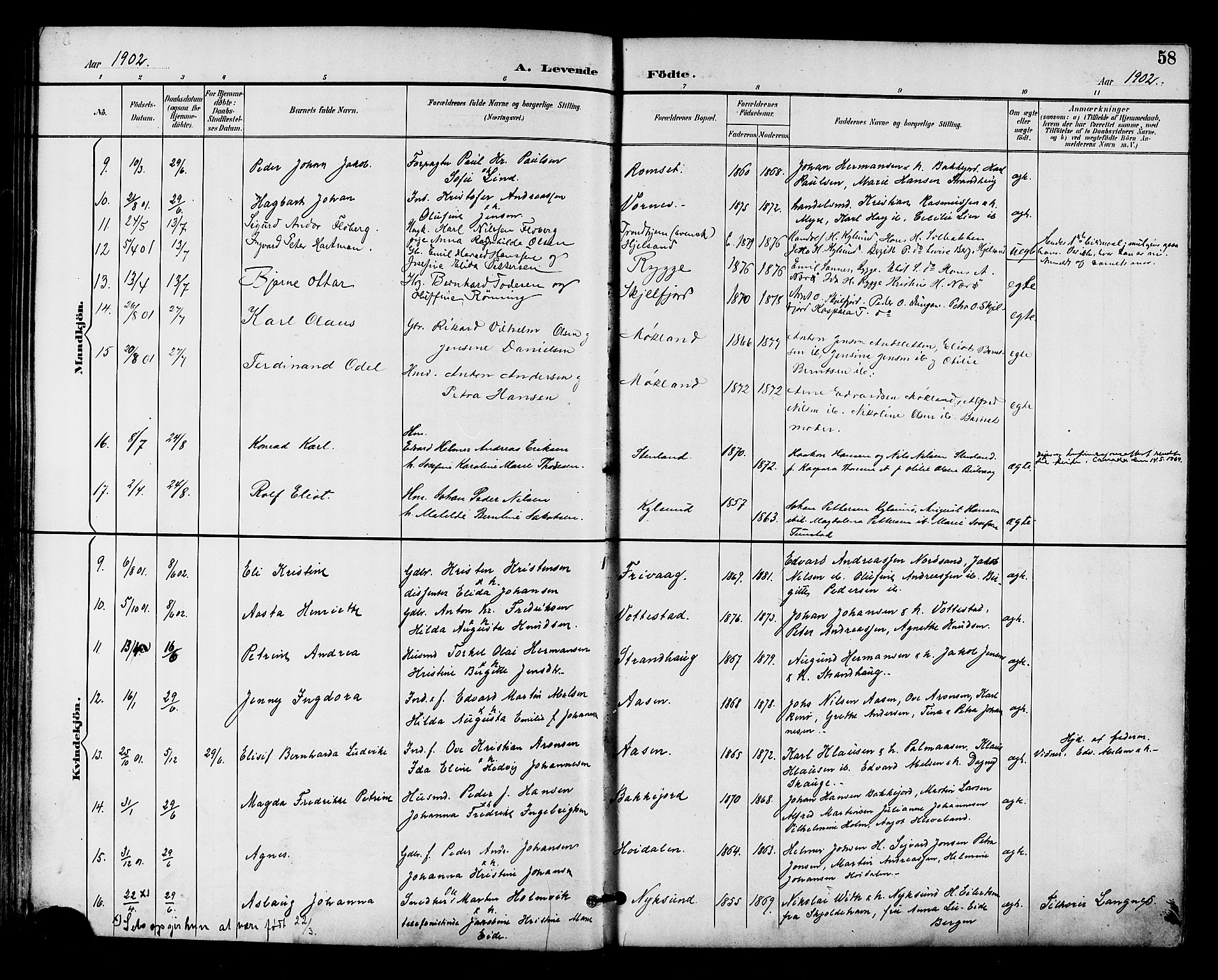 Ministerialprotokoller, klokkerbøker og fødselsregistre - Nordland, AV/SAT-A-1459/893/L1338: Parish register (official) no. 893A10, 1894-1903, p. 58