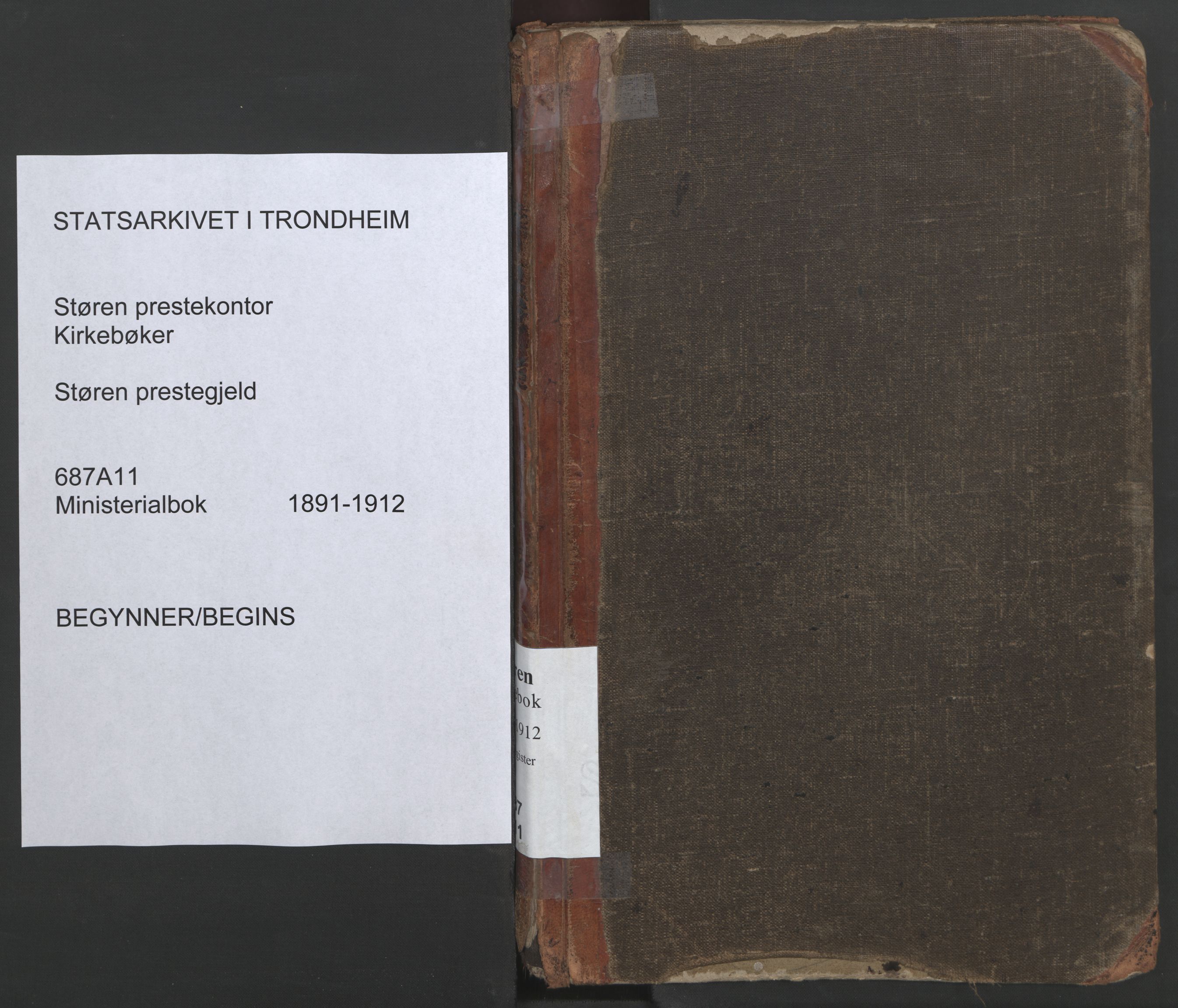 Ministerialprotokoller, klokkerbøker og fødselsregistre - Sør-Trøndelag, SAT/A-1456/687/L1005: Diary records no. 687A11, 1891-1912