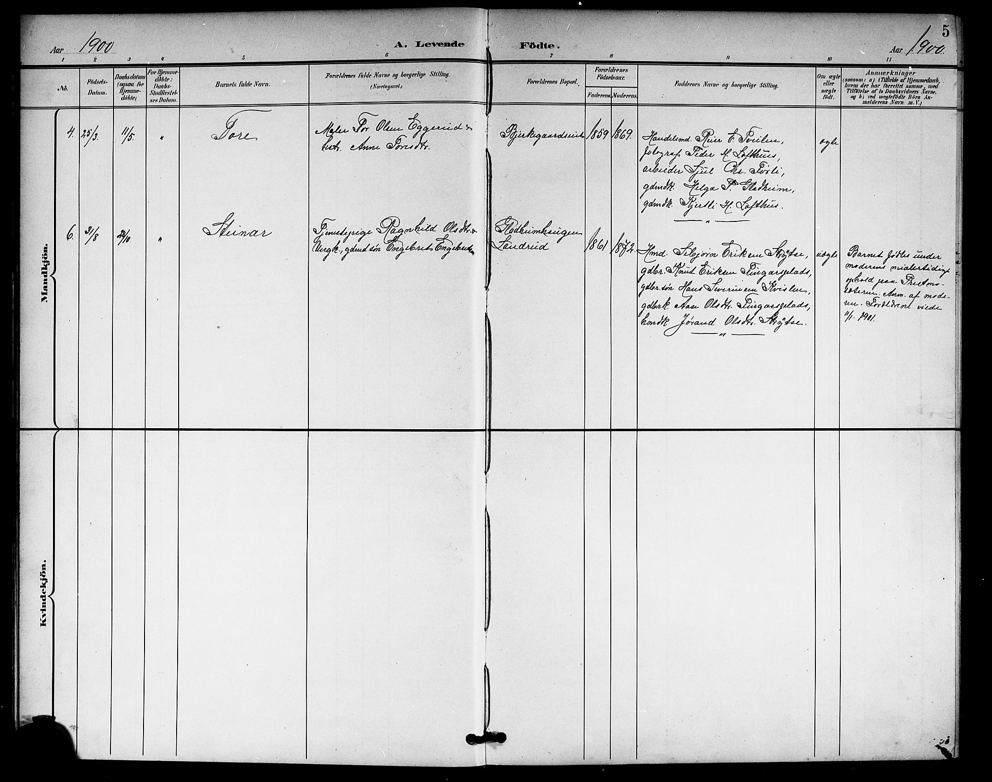 Rollag kirkebøker, AV/SAKO-A-240/G/Gb/L0003: Parish register (copy) no. II 3, 1897-1919, p. 5