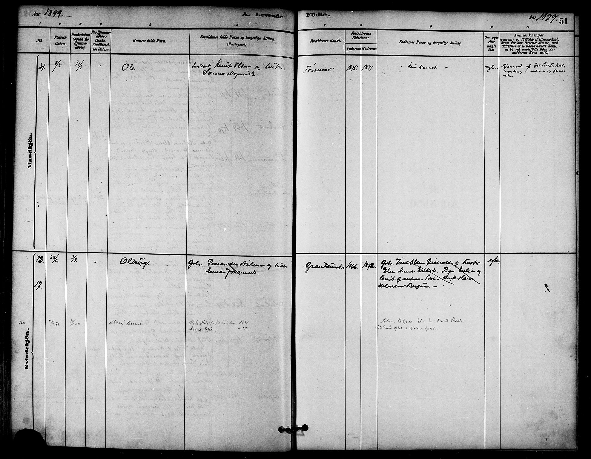 Ministerialprotokoller, klokkerbøker og fødselsregistre - Nord-Trøndelag, AV/SAT-A-1458/766/L0563: Parish register (official) no. 767A01, 1881-1899, p. 51