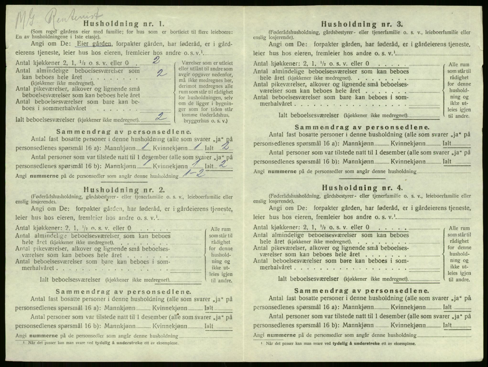 SAKO, 1920 census for Botne, 1920, p. 250