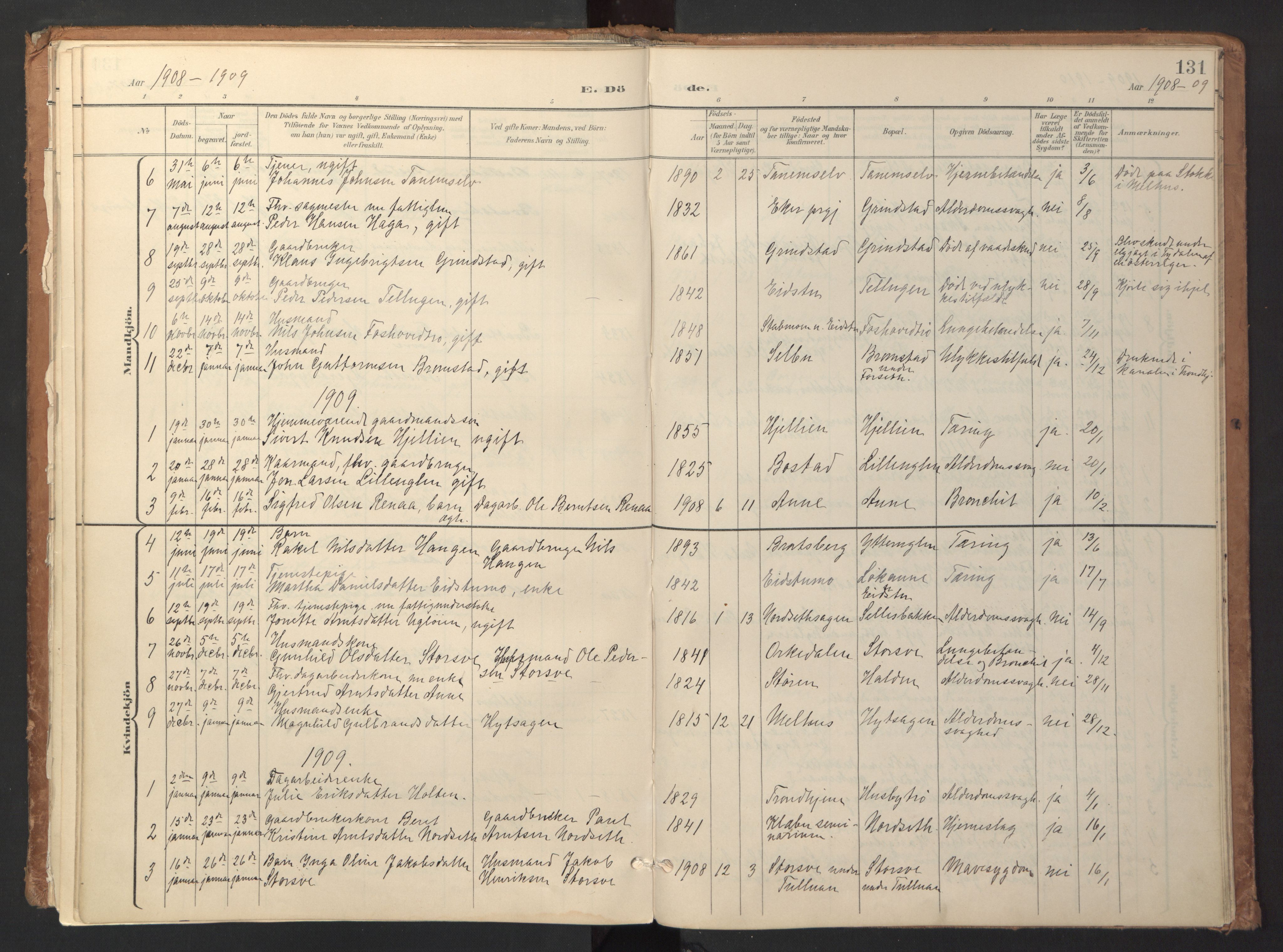 Ministerialprotokoller, klokkerbøker og fødselsregistre - Sør-Trøndelag, SAT/A-1456/618/L0448: Parish register (official) no. 618A11, 1898-1916, p. 131