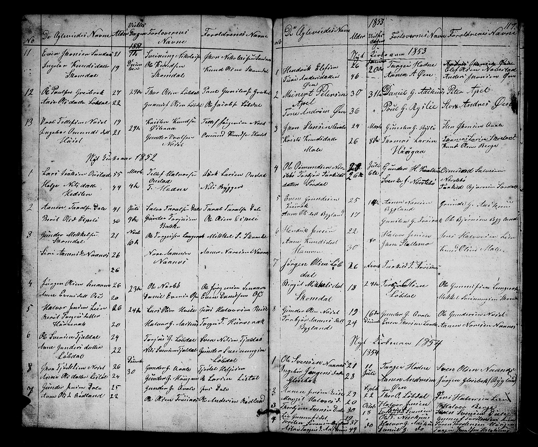 Bygland sokneprestkontor, AV/SAK-1111-0006/F/Fb/Fbb/L0002: Parish register (copy) no. B 2, 1848-1886, p. 117