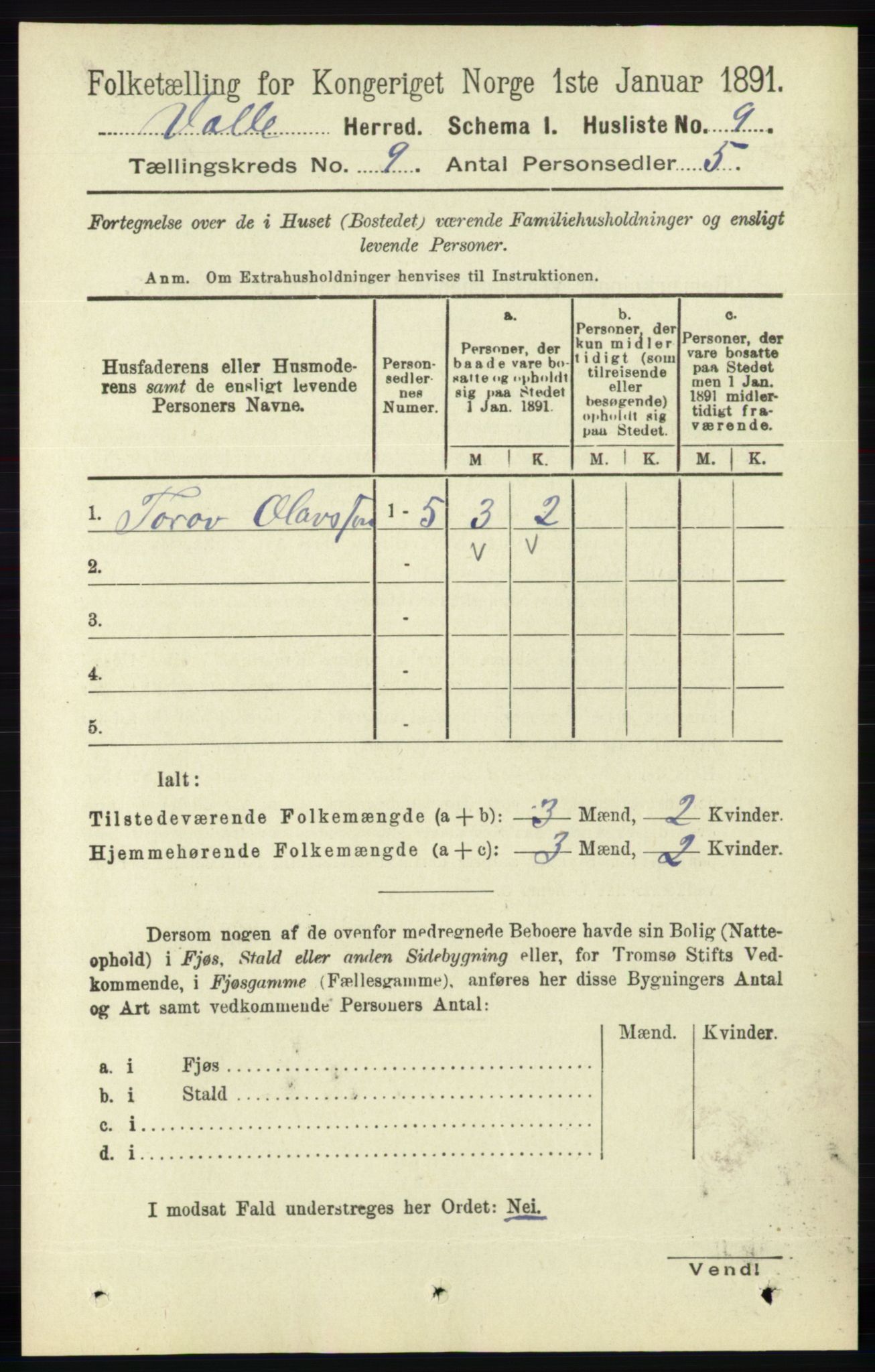 RA, 1891 census for 0940 Valle, 1891, p. 2395