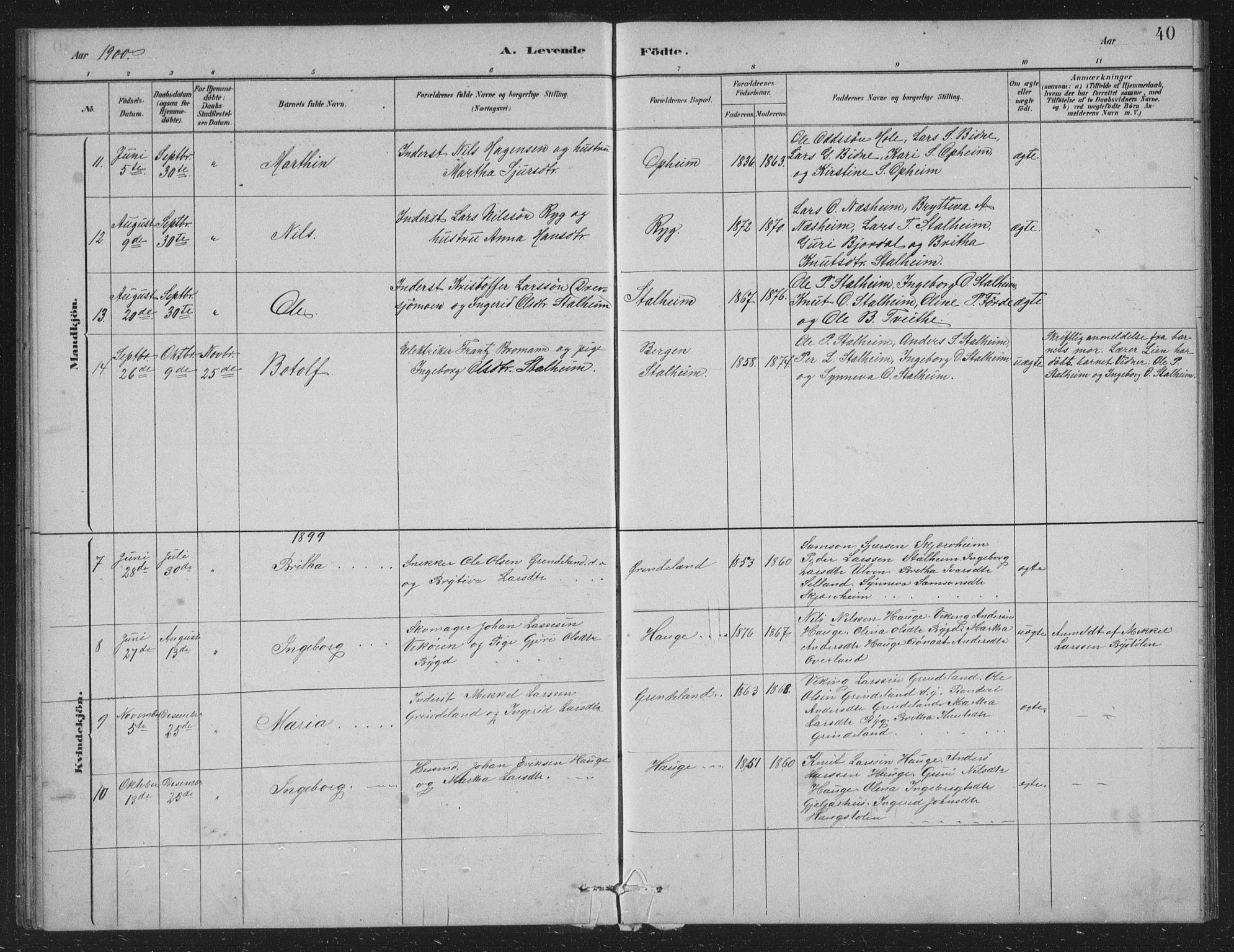 Vossestrand Sokneprestembete, SAB/A-79101/H/Hab: Parish register (copy) no. A 2, 1880-1902, p. 40