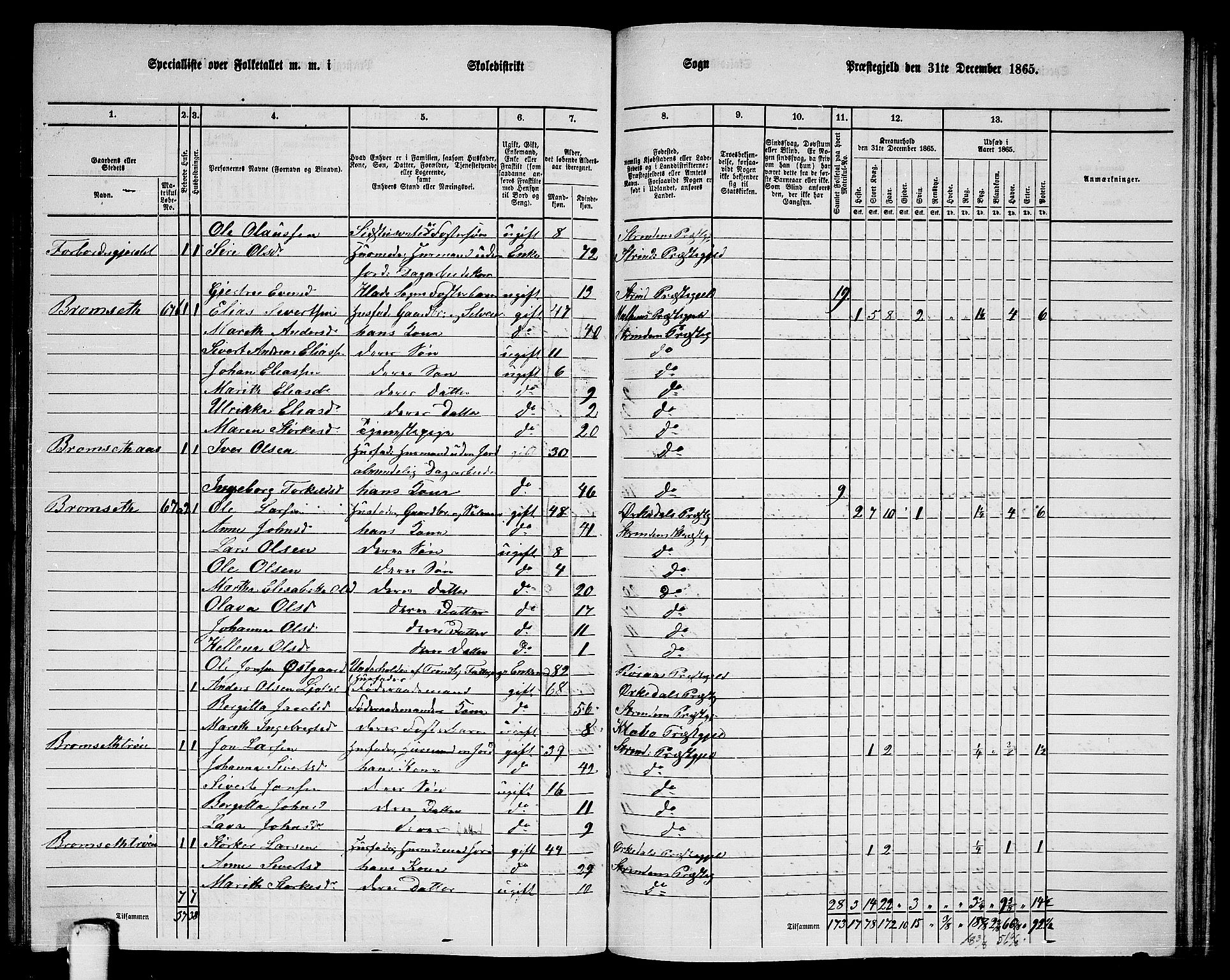 RA, 1865 census for Strinda, 1865, p. 217