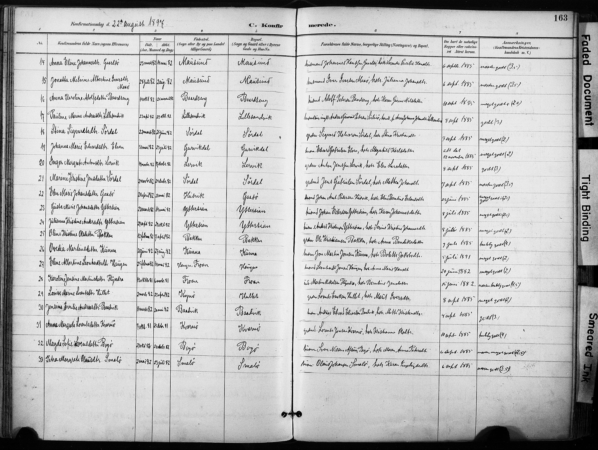 Ministerialprotokoller, klokkerbøker og fødselsregistre - Sør-Trøndelag, AV/SAT-A-1456/640/L0579: Parish register (official) no. 640A04, 1889-1902, p. 163