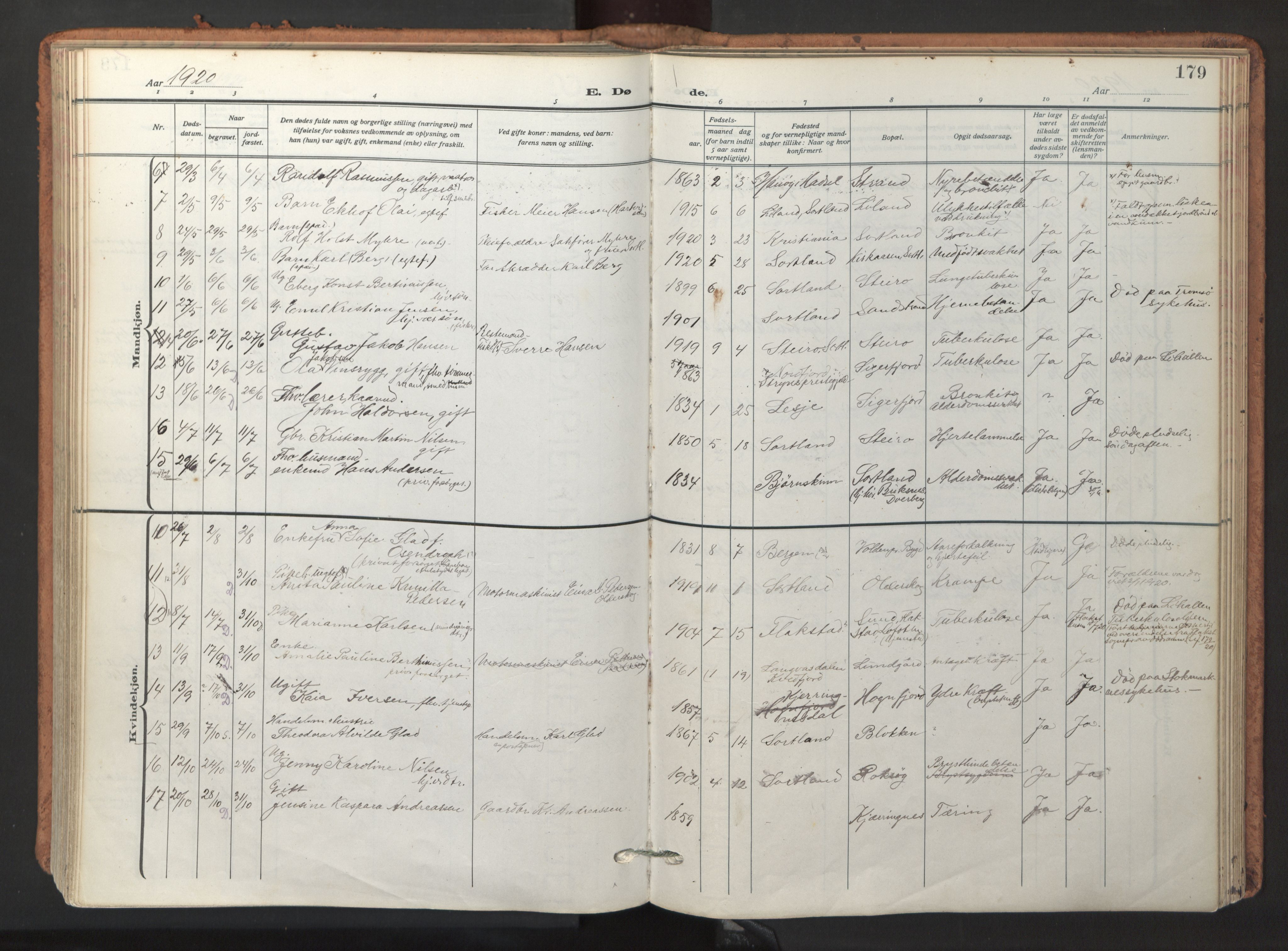 Ministerialprotokoller, klokkerbøker og fødselsregistre - Nordland, AV/SAT-A-1459/895/L1374: Parish register (official) no. 895A09, 1915-1925, p. 179