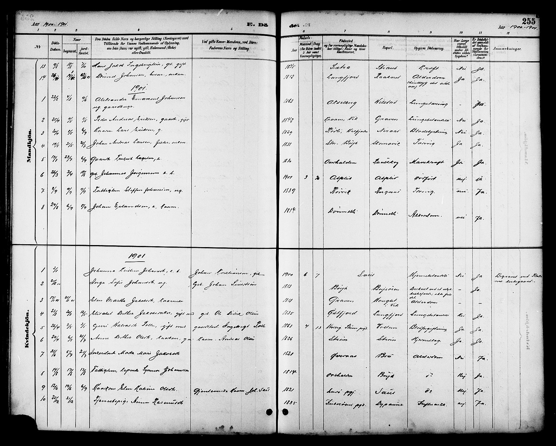 Ministerialprotokoller, klokkerbøker og fødselsregistre - Nordland, AV/SAT-A-1459/814/L0230: Parish register (copy) no. 814C03, 1884-1911, p. 255