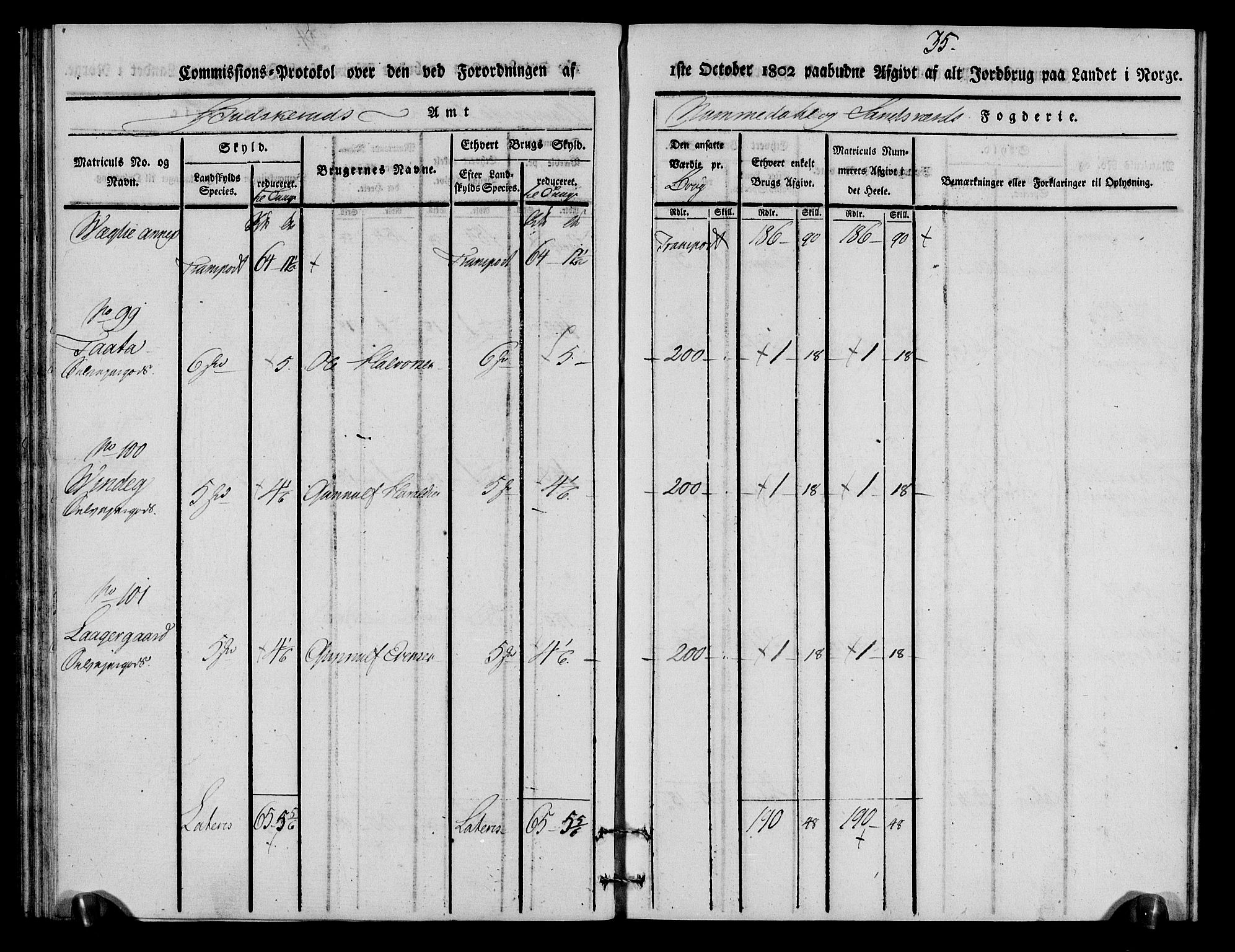 Rentekammeret inntil 1814, Realistisk ordnet avdeling, RA/EA-4070/N/Ne/Nea/L0056a: Numedal og Sandsvær fogderi. Kommisjonsprotokoll for Rollag hovedsogn og Veggli anneks, 1803, p. 36