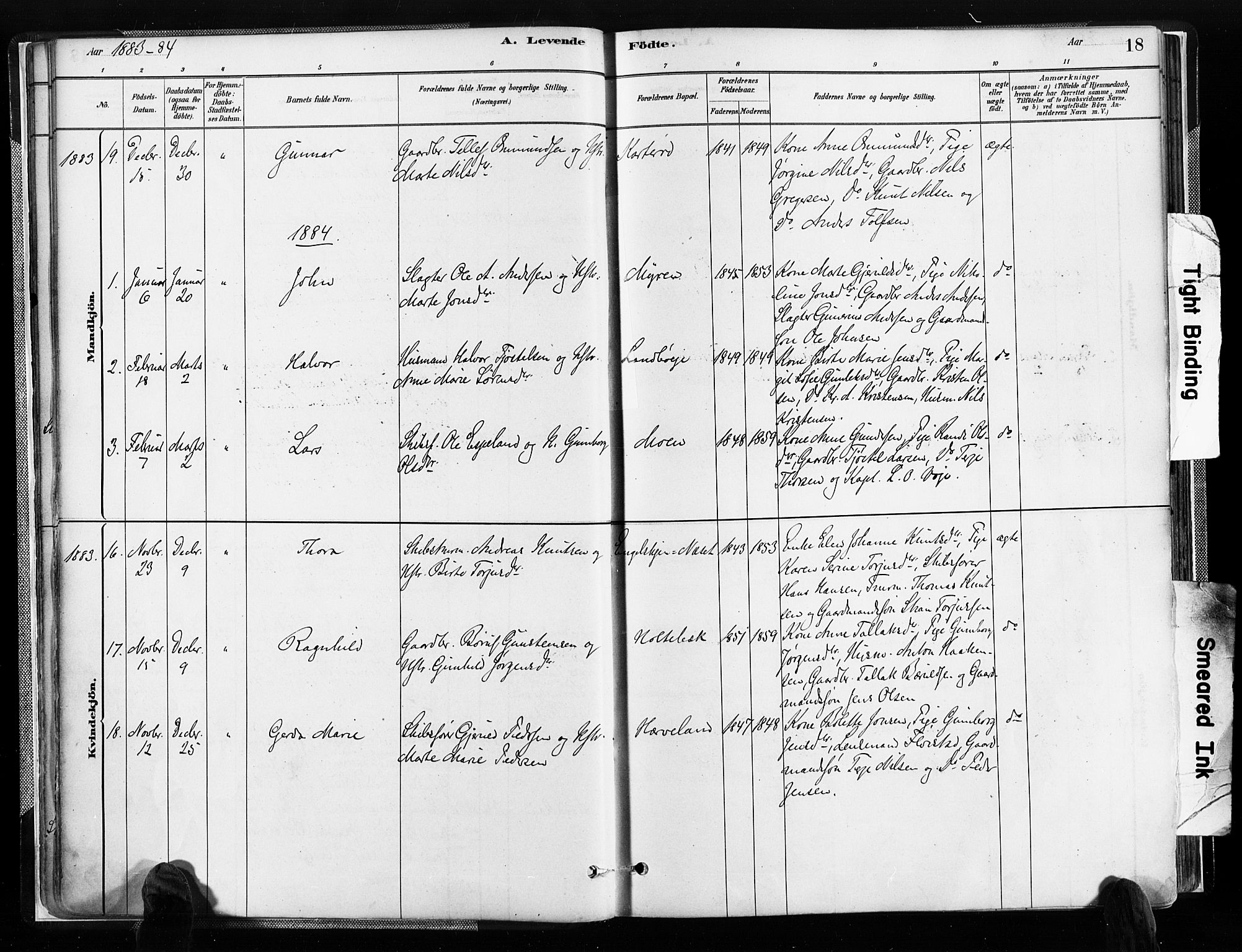 Austre Moland sokneprestkontor, SAK/1111-0001/F/Fa/Faa/L0010: Parish register (official) no. A 10, 1880-1904, p. 18