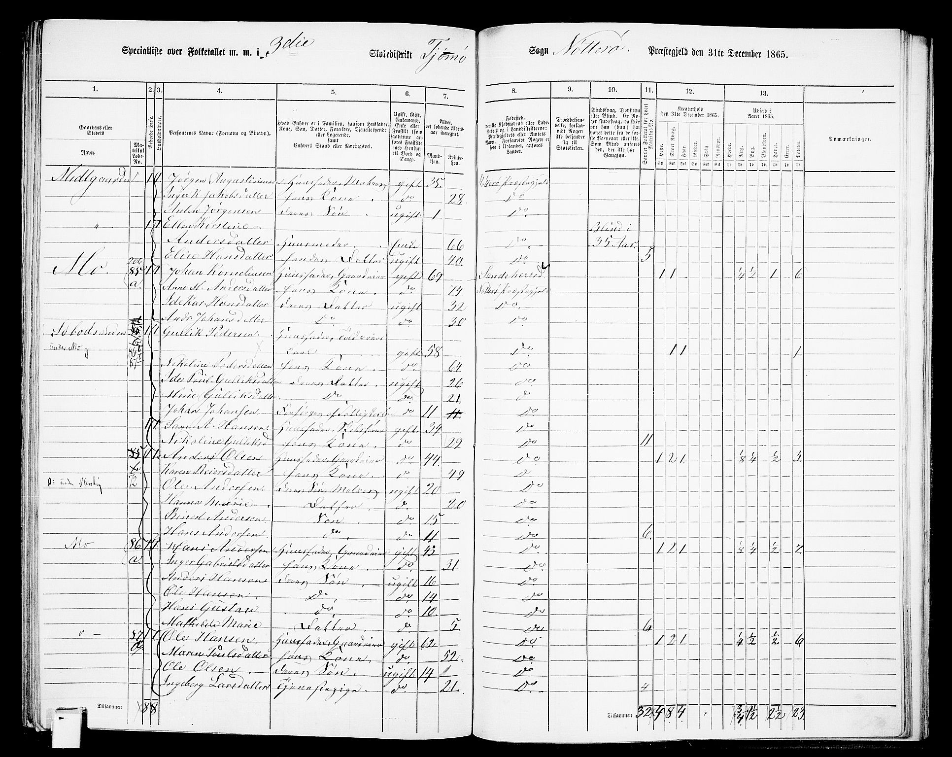 RA, 1865 census for Nøtterøy, 1865, p. 278