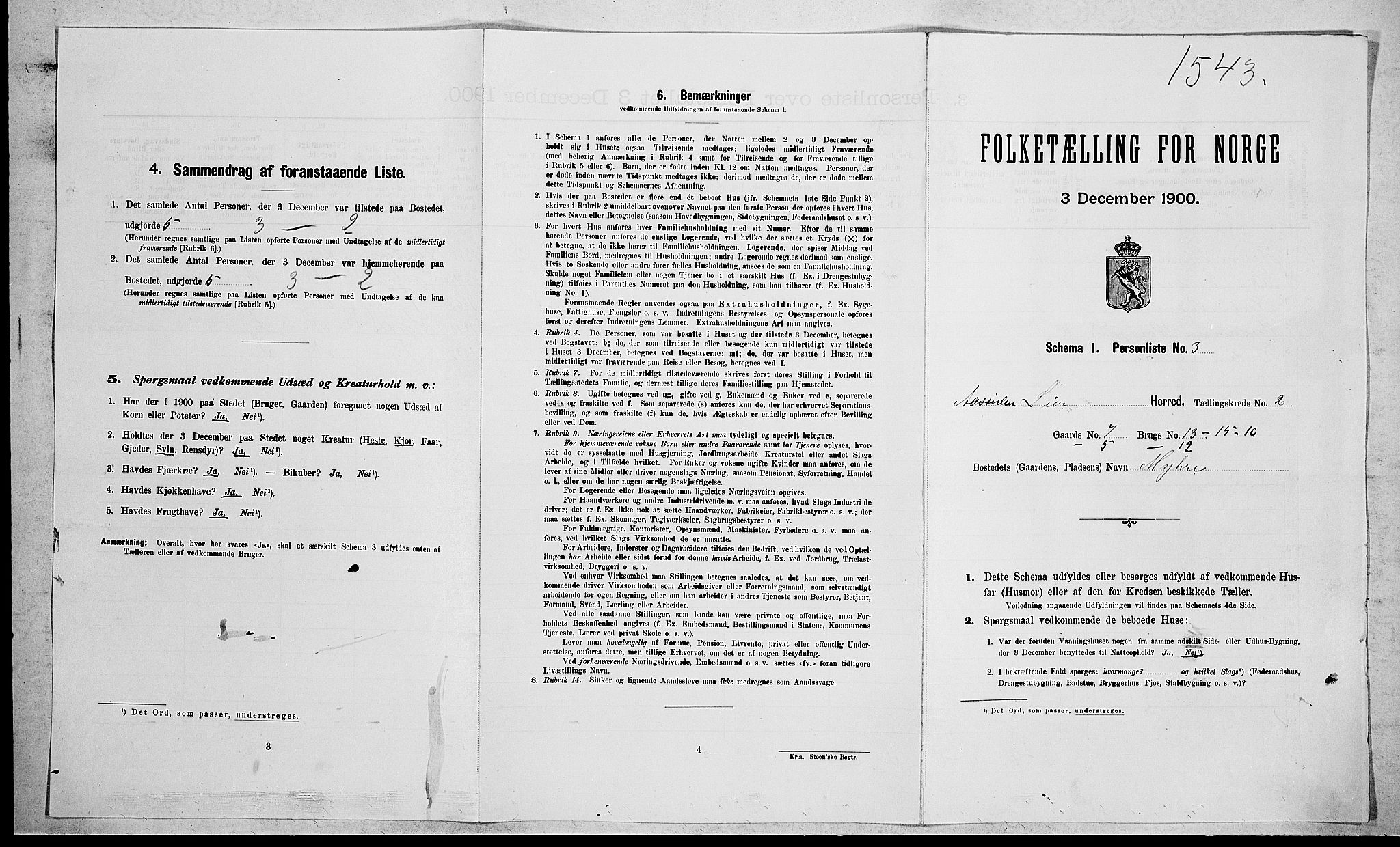 RA, 1900 census for Lier, 1900, p. 126