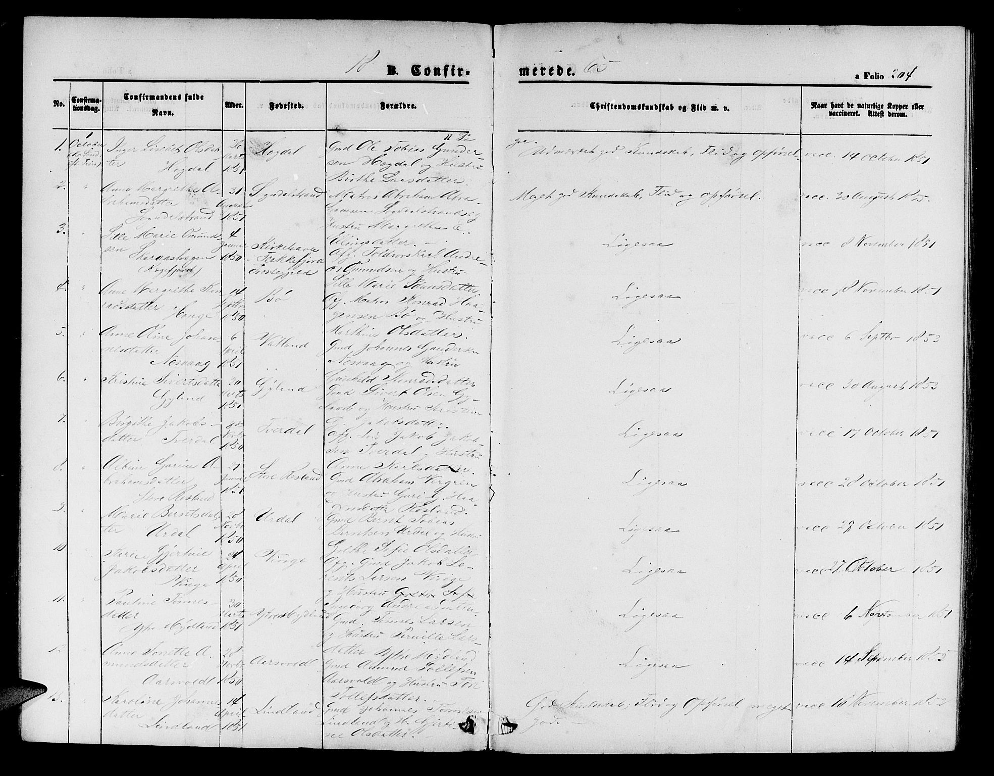 Sokndal sokneprestkontor, AV/SAST-A-101808: Parish register (copy) no. B 3, 1865-1879, p. 204