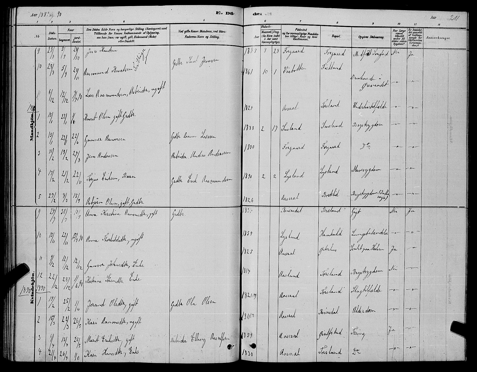 Åseral sokneprestkontor, AV/SAK-1111-0051/F/Fb/L0002: Parish register (copy) no. B 2, 1878-1899, p. 211