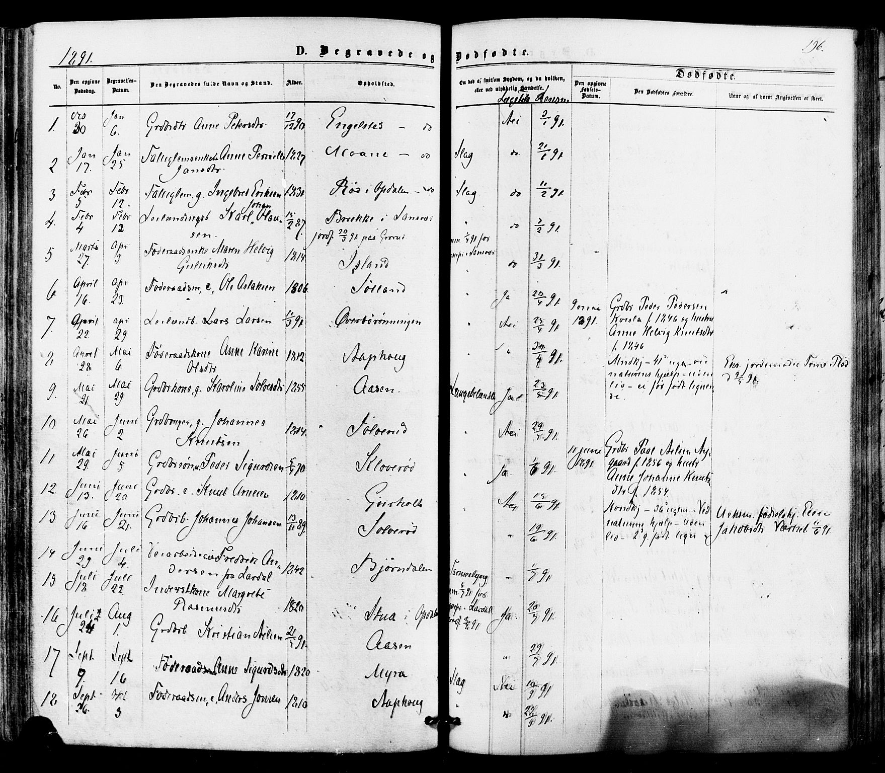 Siljan kirkebøker, SAKO/A-300/F/Fa/L0002: Parish register (official) no. 2, 1870-1895, p. 196