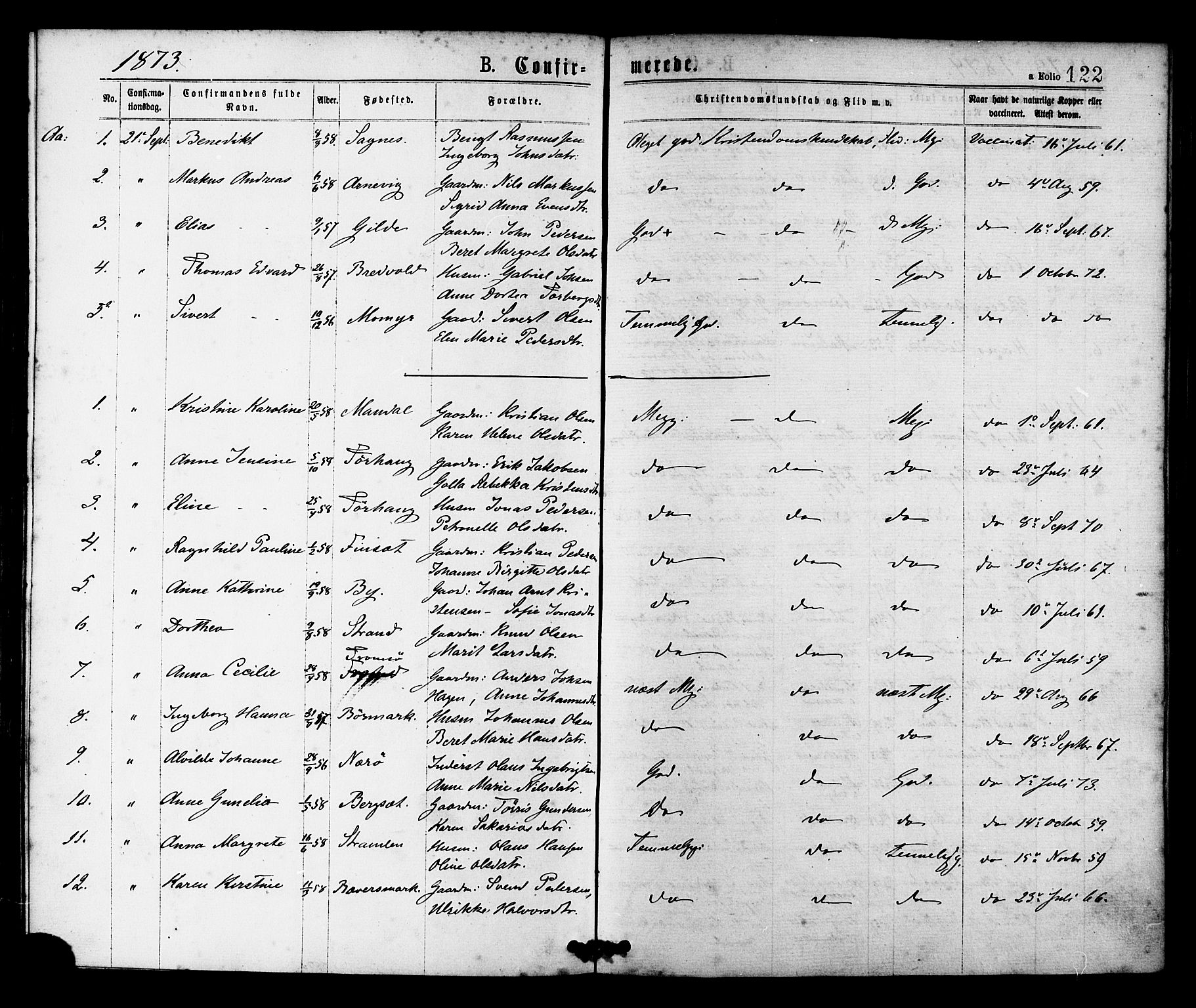 Ministerialprotokoller, klokkerbøker og fødselsregistre - Sør-Trøndelag, SAT/A-1456/655/L0679: Parish register (official) no. 655A08, 1873-1879, p. 122