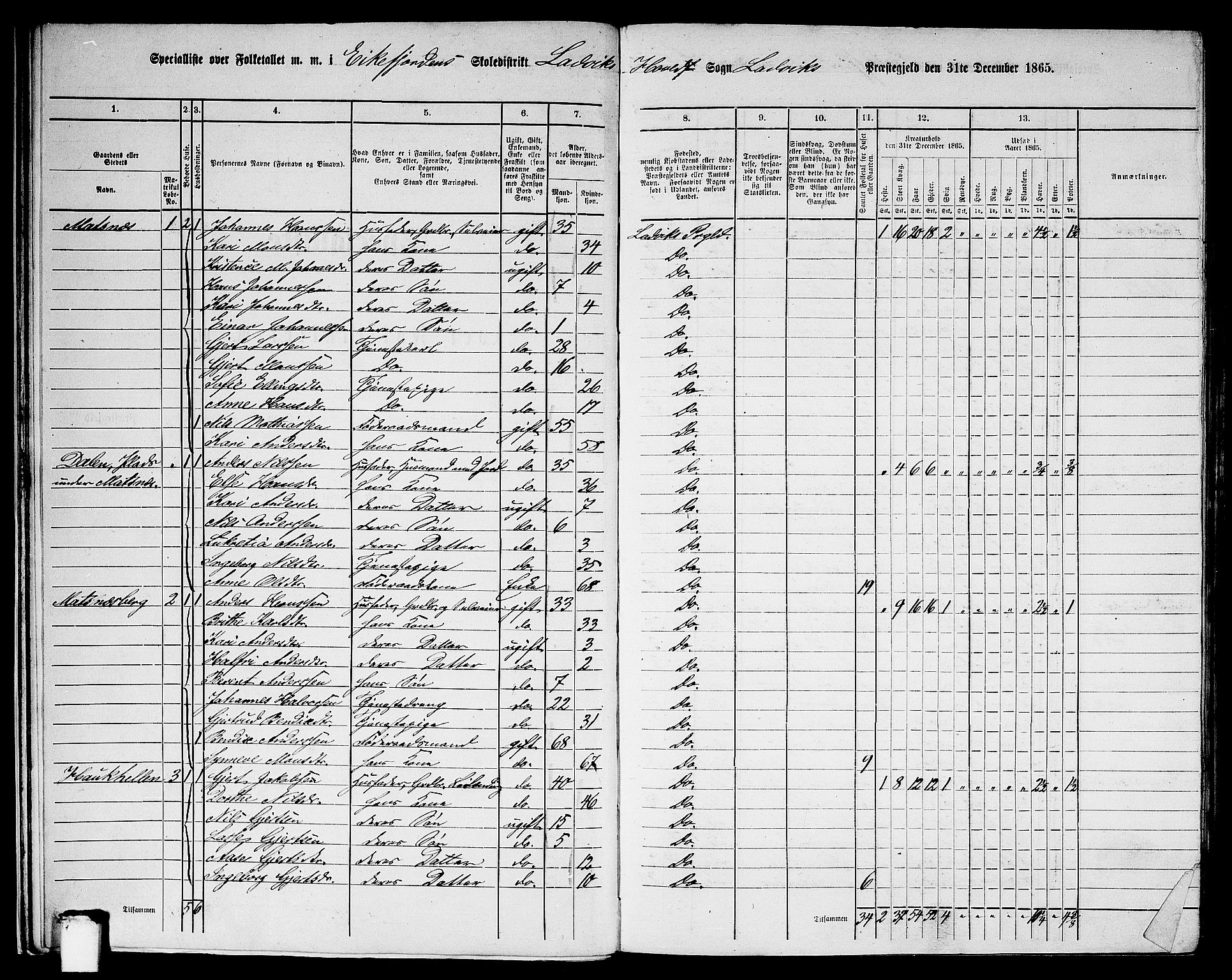 RA, 1865 census for Lavik, 1865, p. 14