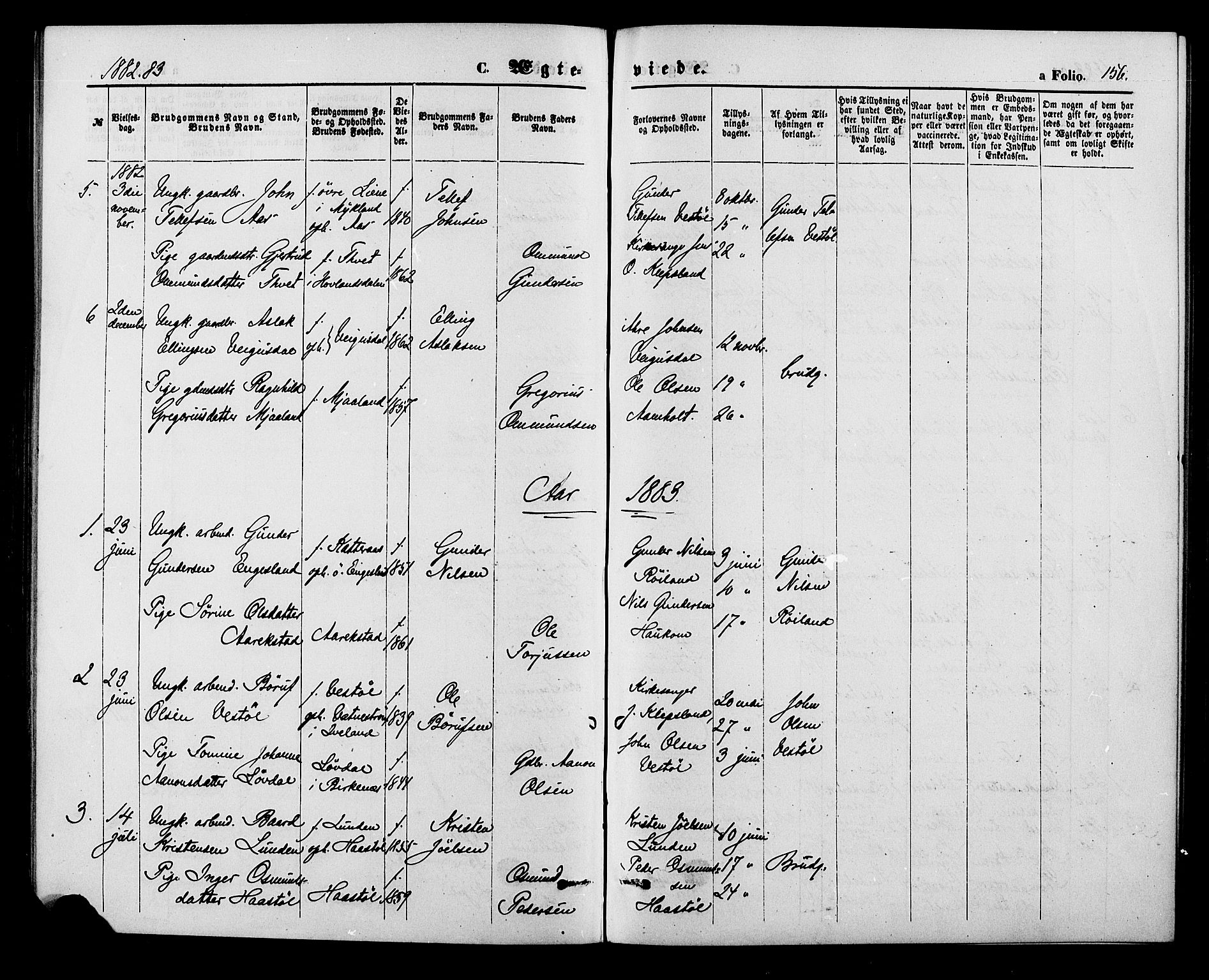 Herefoss sokneprestkontor, SAK/1111-0019/F/Fa/Fab/L0003: Parish register (official) no. A 3, 1875-1886, p. 156