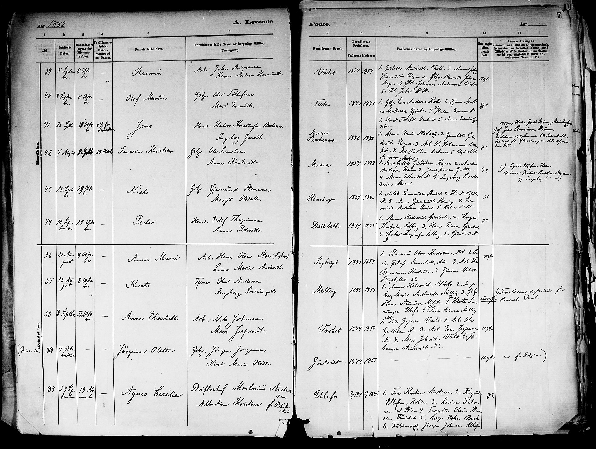 Holla kirkebøker, AV/SAKO-A-272/F/Fa/L0008: Parish register (official) no. 8, 1882-1897, p. 7