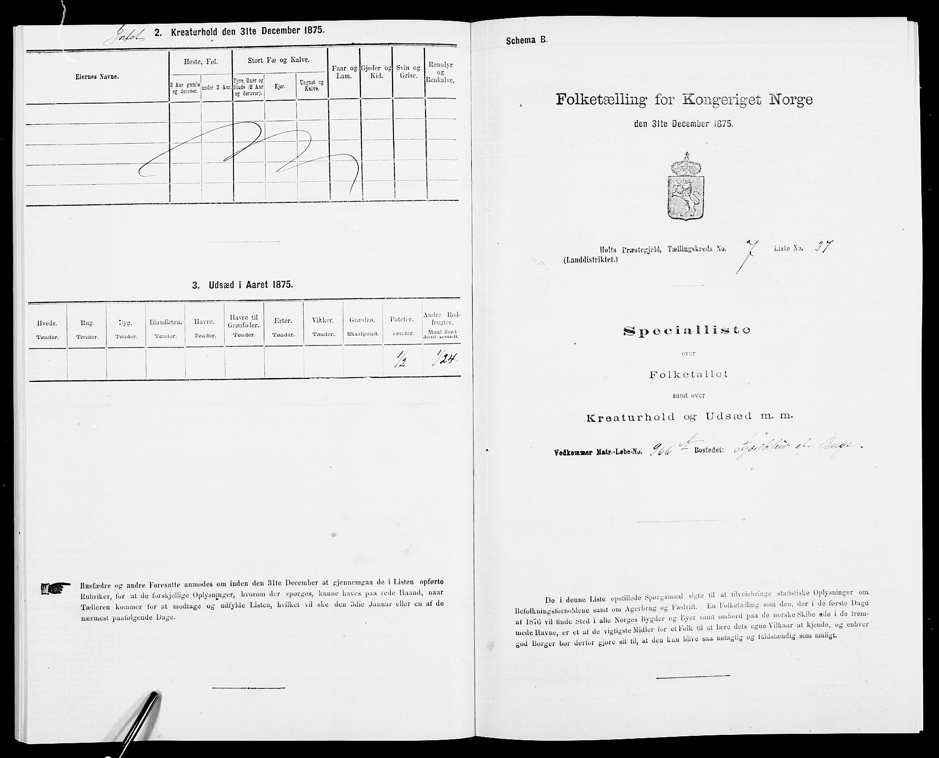 SAK, 1875 census for 0914L Holt/Holt, 1875, p. 847