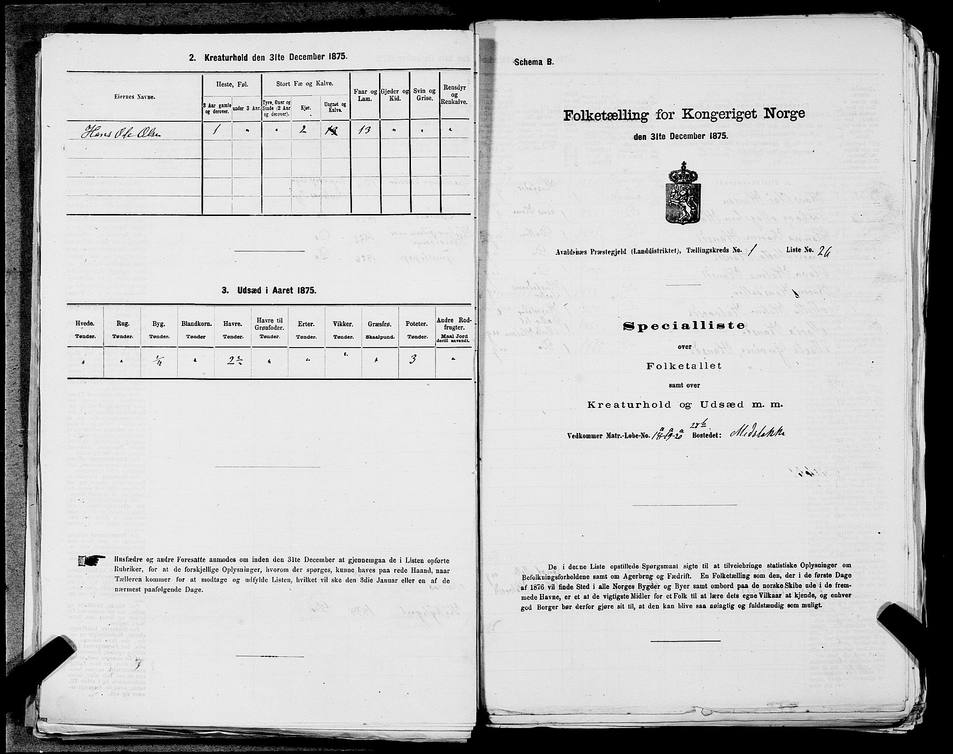 SAST, 1875 census for 1147L Avaldsnes/Avaldsnes og Kopervik, 1875, p. 118