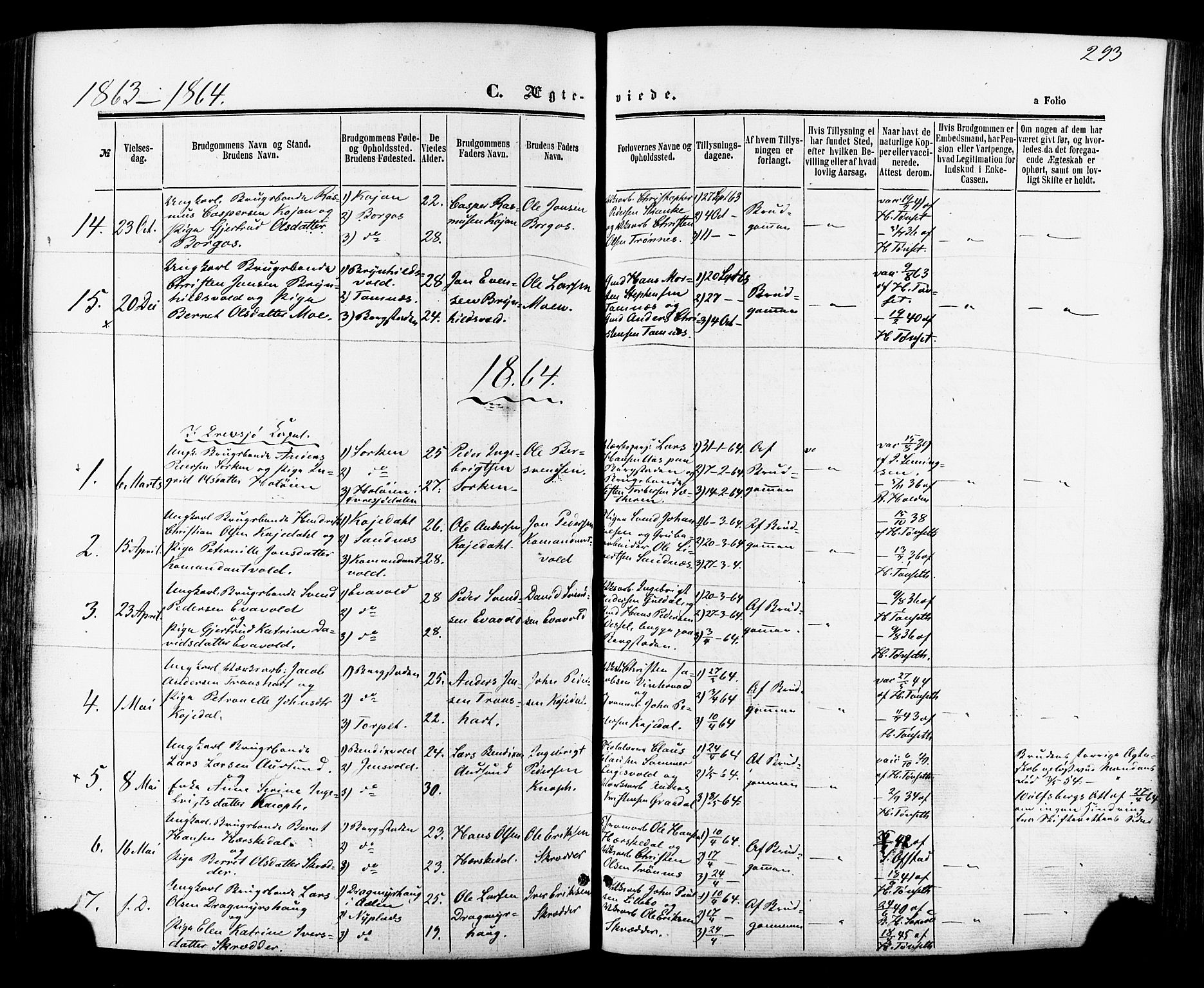 Ministerialprotokoller, klokkerbøker og fødselsregistre - Sør-Trøndelag, AV/SAT-A-1456/681/L0932: Parish register (official) no. 681A10, 1860-1878, p. 293
